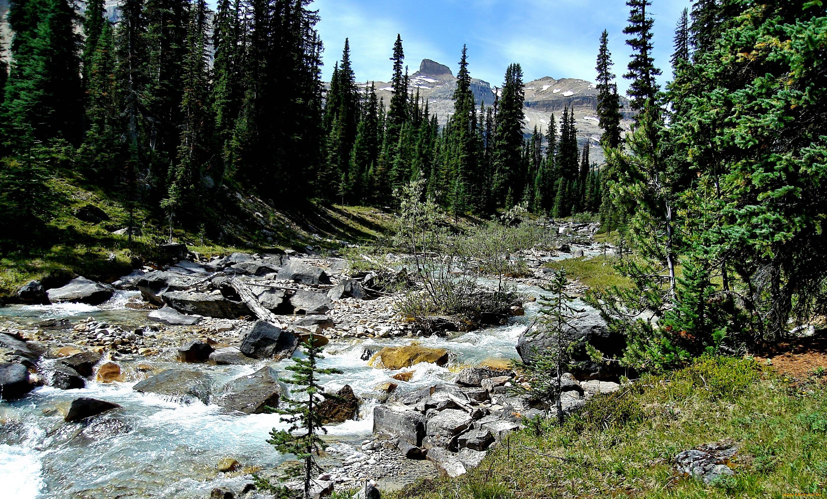 природа, реки, озера, лес, горы, речка, камни, деревья, кустарник, поток