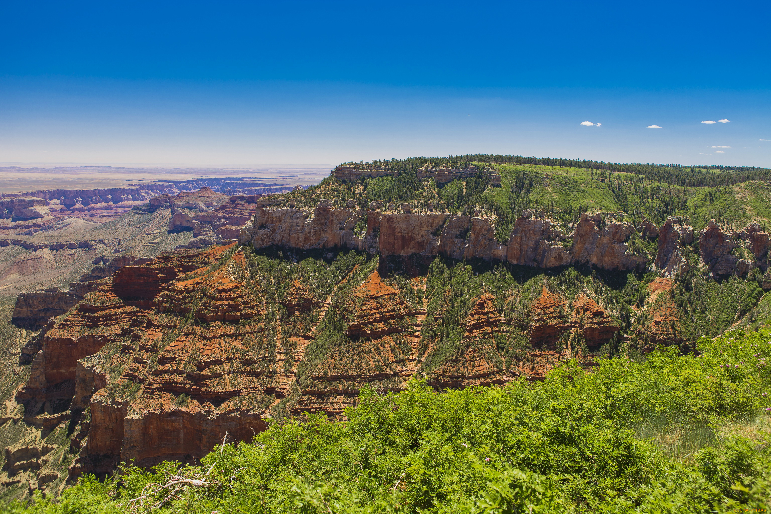 grand, canyon, national, park, arizona, природа, горы, лес