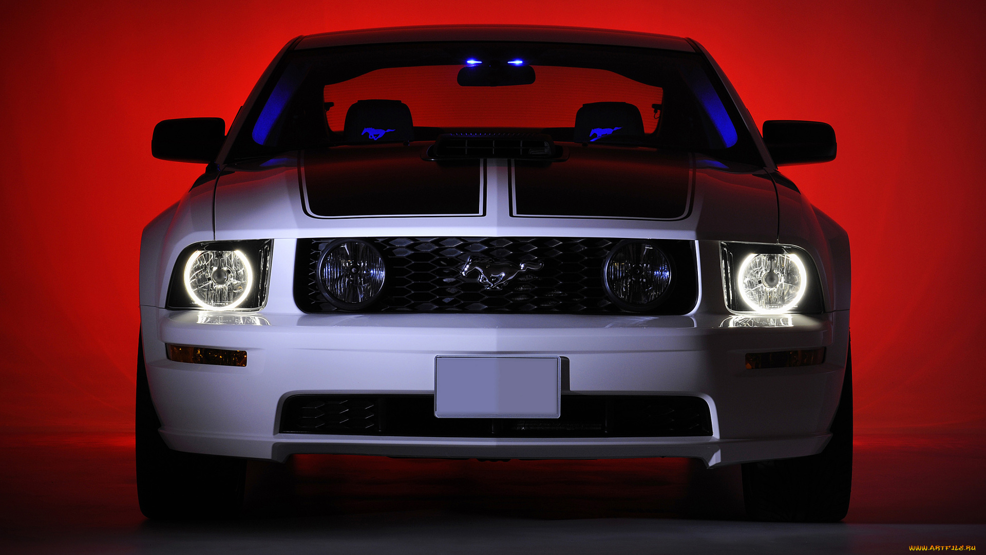 автомобили, mustang