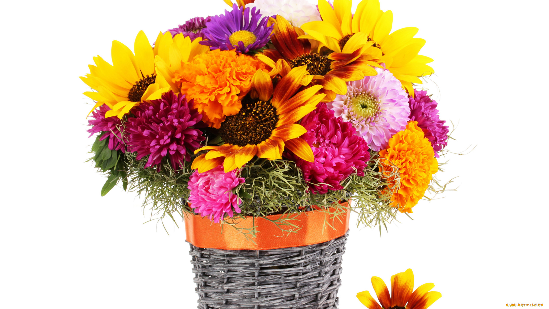 цветы, разные, вместе, астры, ромашки, георгины, корзина