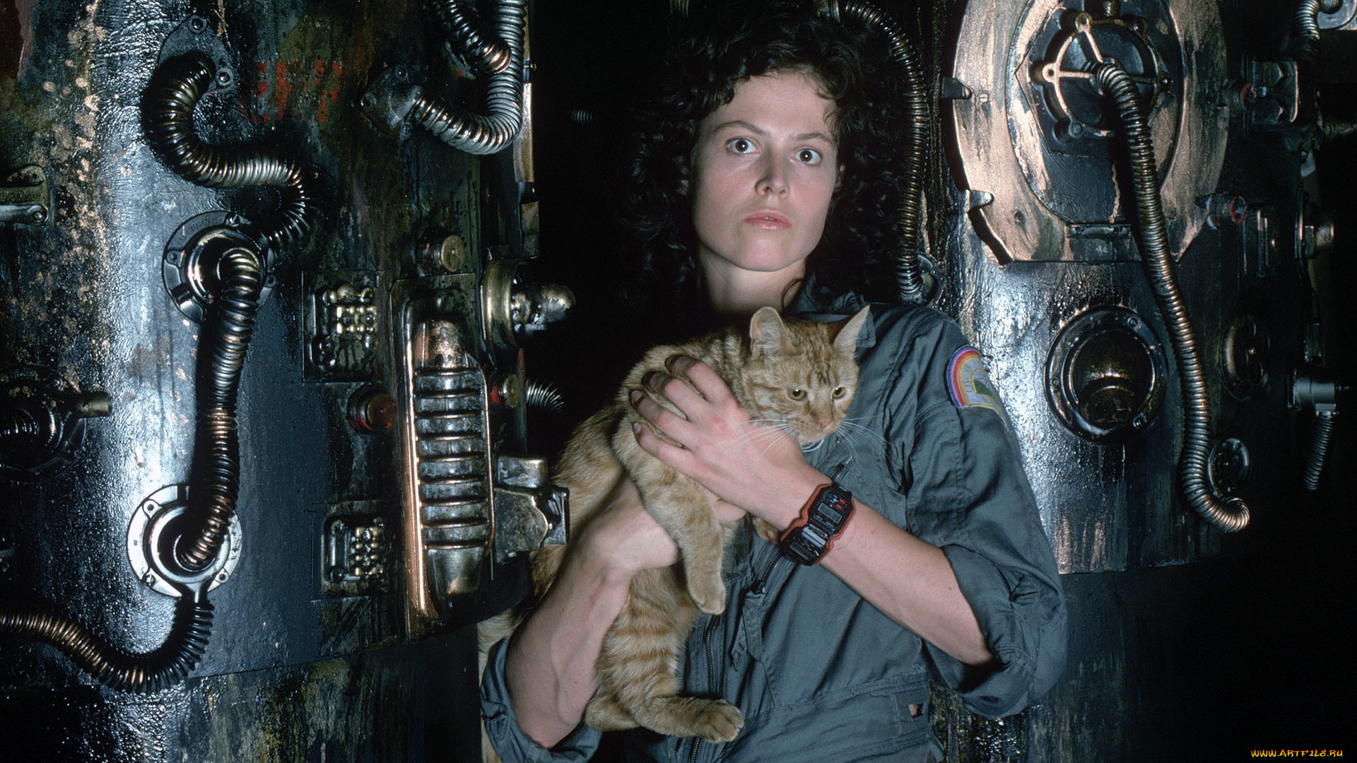 кино, фильмы, alien, рипли, фантастика, Чужой, weaver, кот, sigourney
