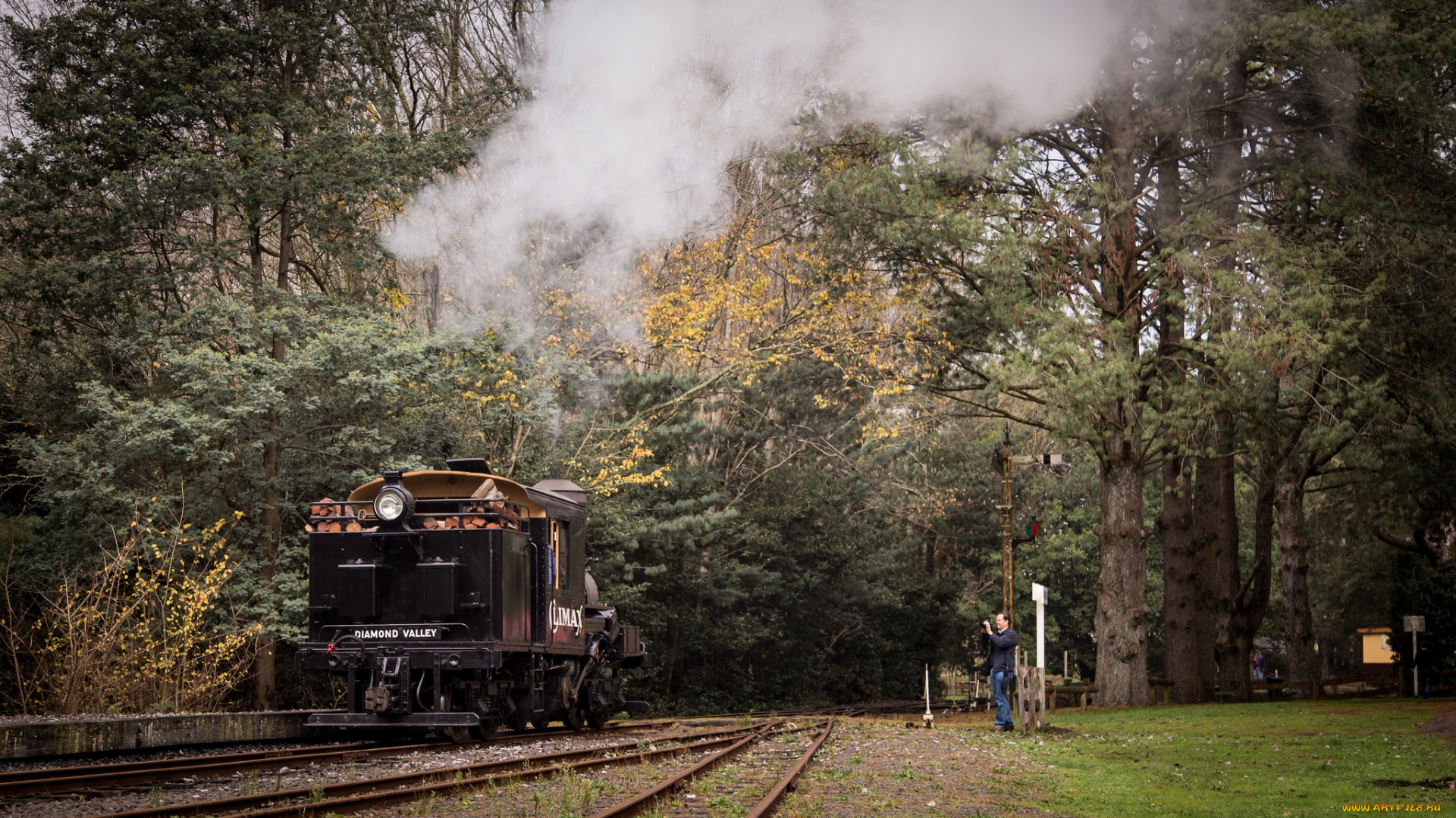 техника, паровозы, рельсы, дорога, железная, вагоны, паровоз