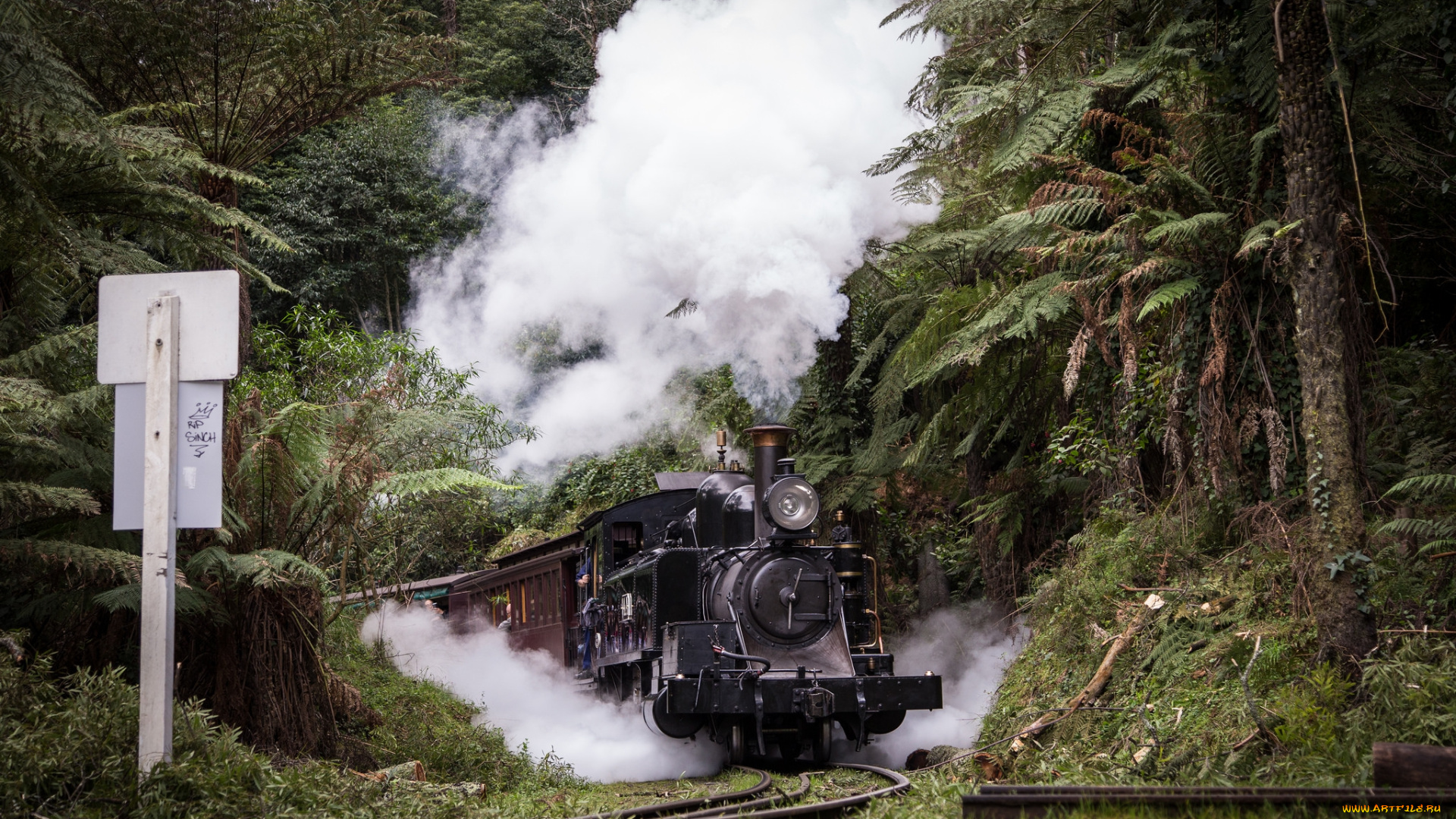 техника, паровозы, вагоны, паровоз, рельсы, дорога, железная