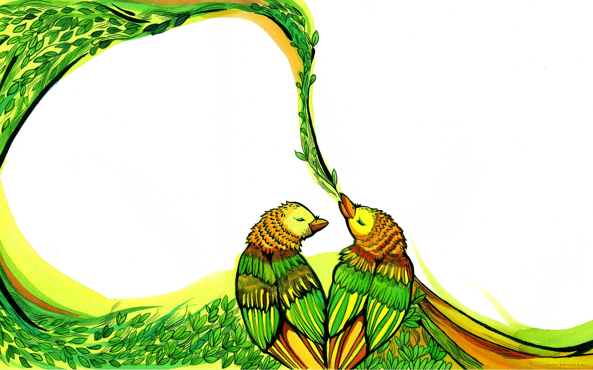 рисованные, животные, , птицы, птицы