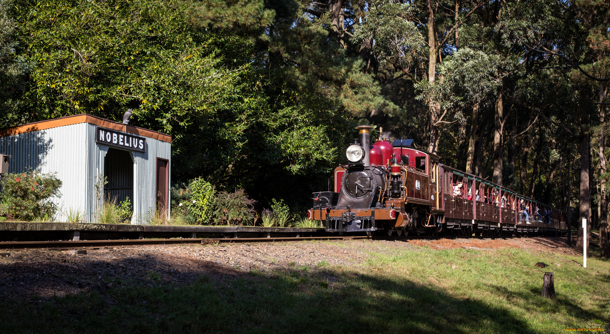 техника, паровозы, вагоны, паровоз, рельсы, дорога, железная