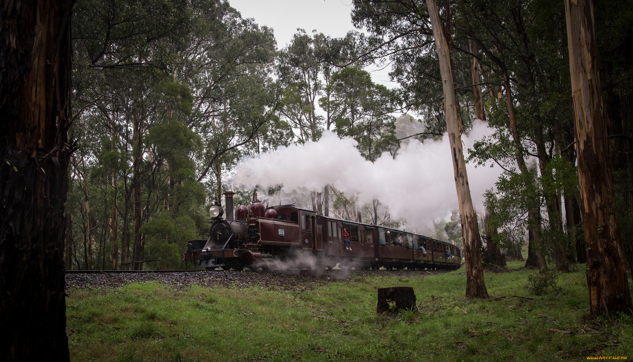 техника, паровозы, вагоны, паровоз, рельсы, дорога, железная