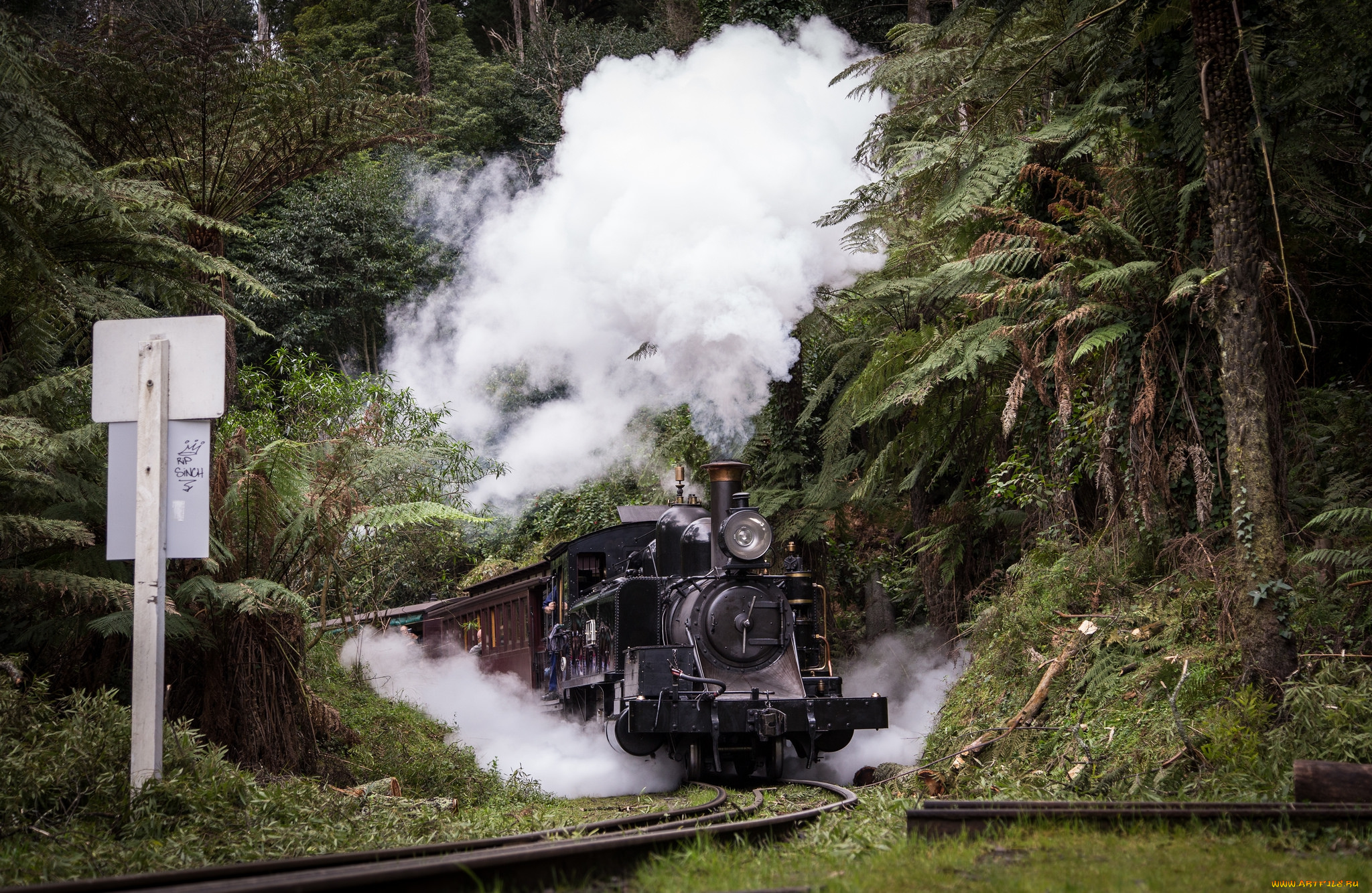 техника, паровозы, вагоны, паровоз, рельсы, дорога, железная