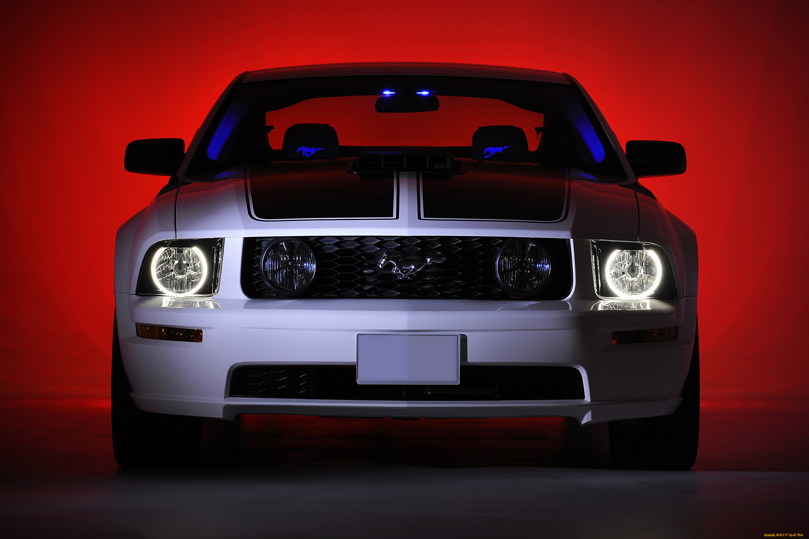 автомобили, mustang