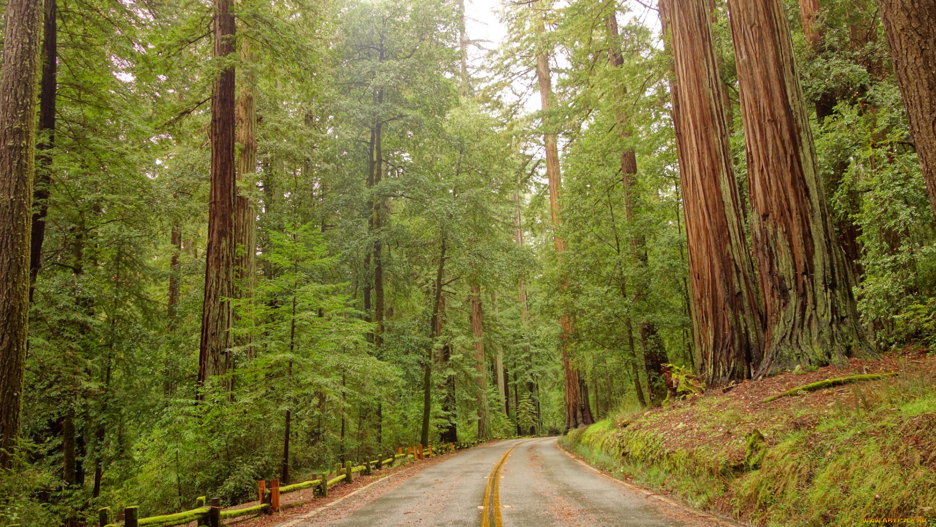 природа, дороги, тракт