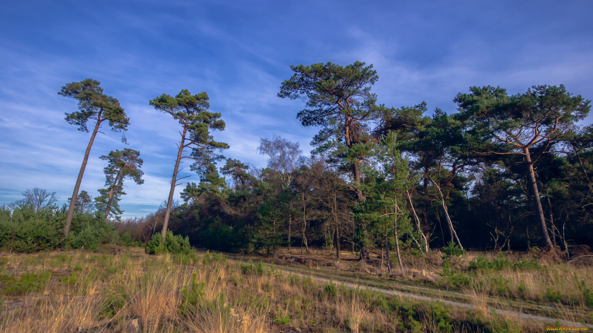 природа, дороги, тракт