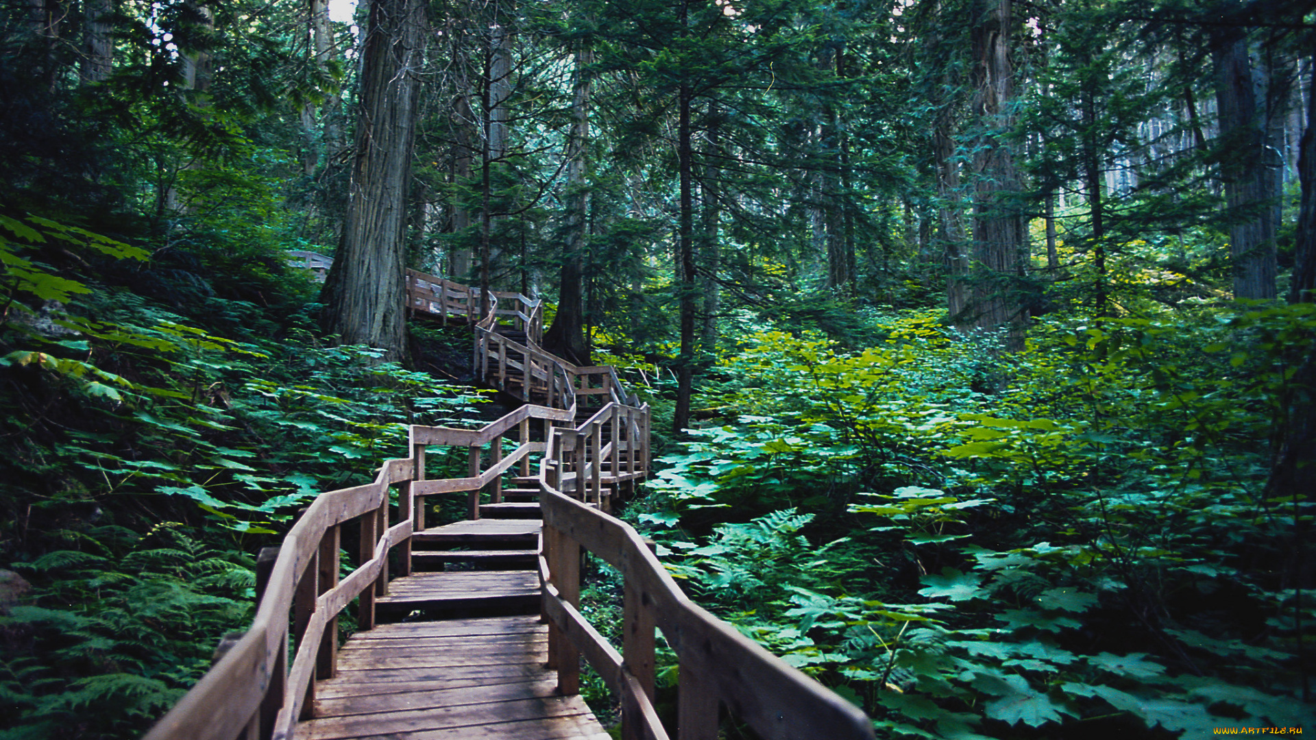 природа, дороги, тракт