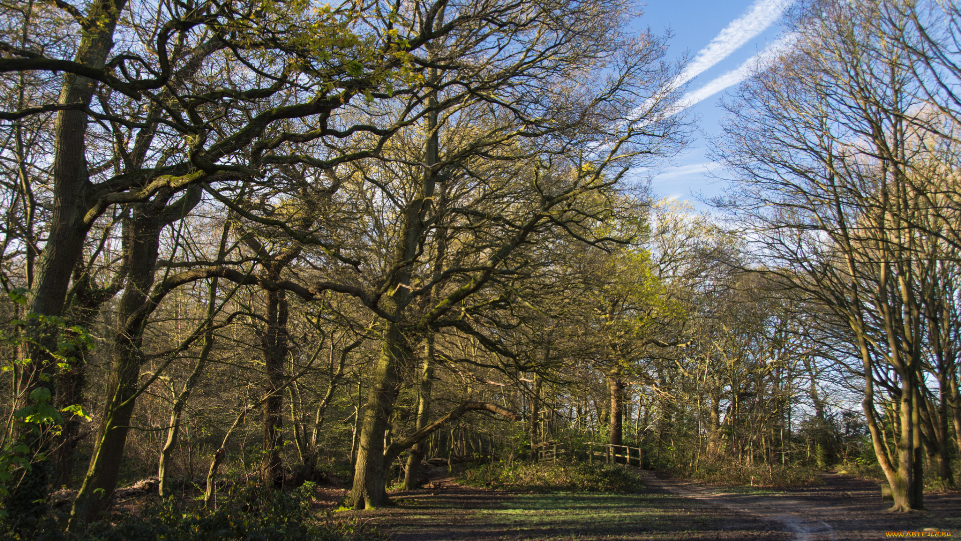 природа, дороги, тракт