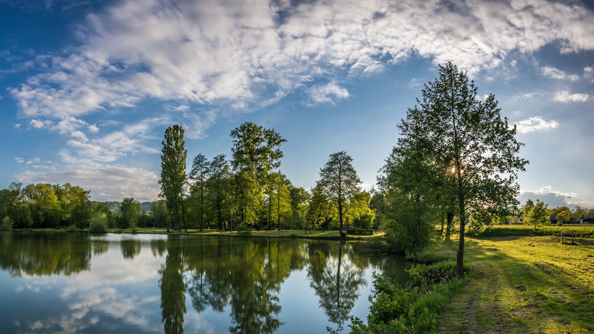 природа, реки, озера, лес, река