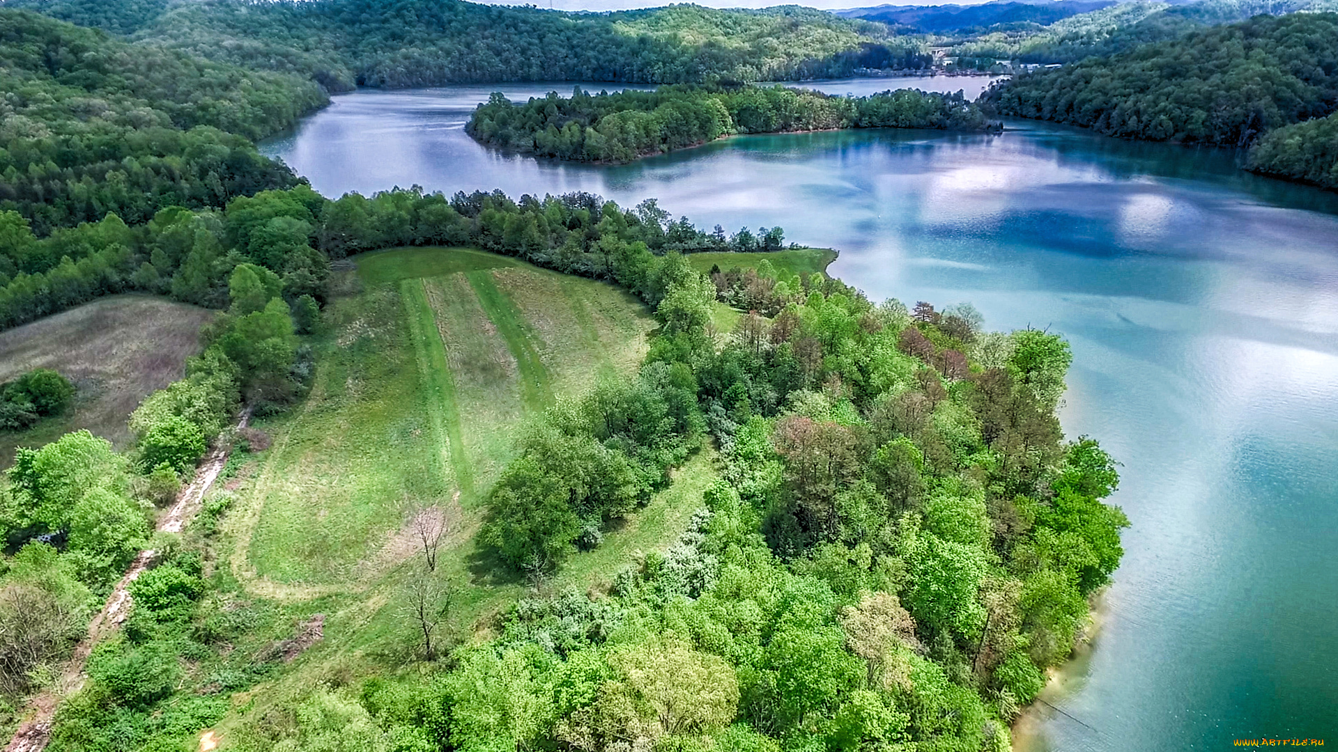 природа, реки, озера, лес, река