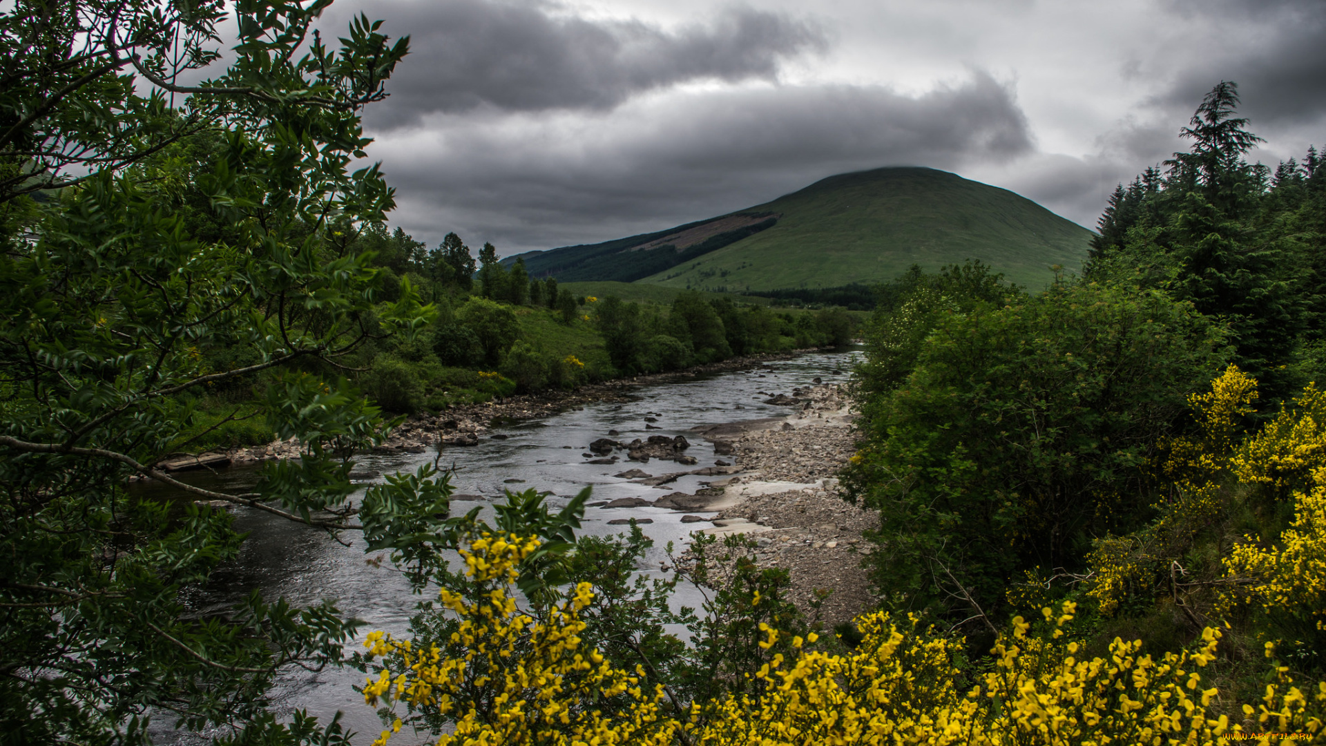 природа, реки, озера, лес, река
