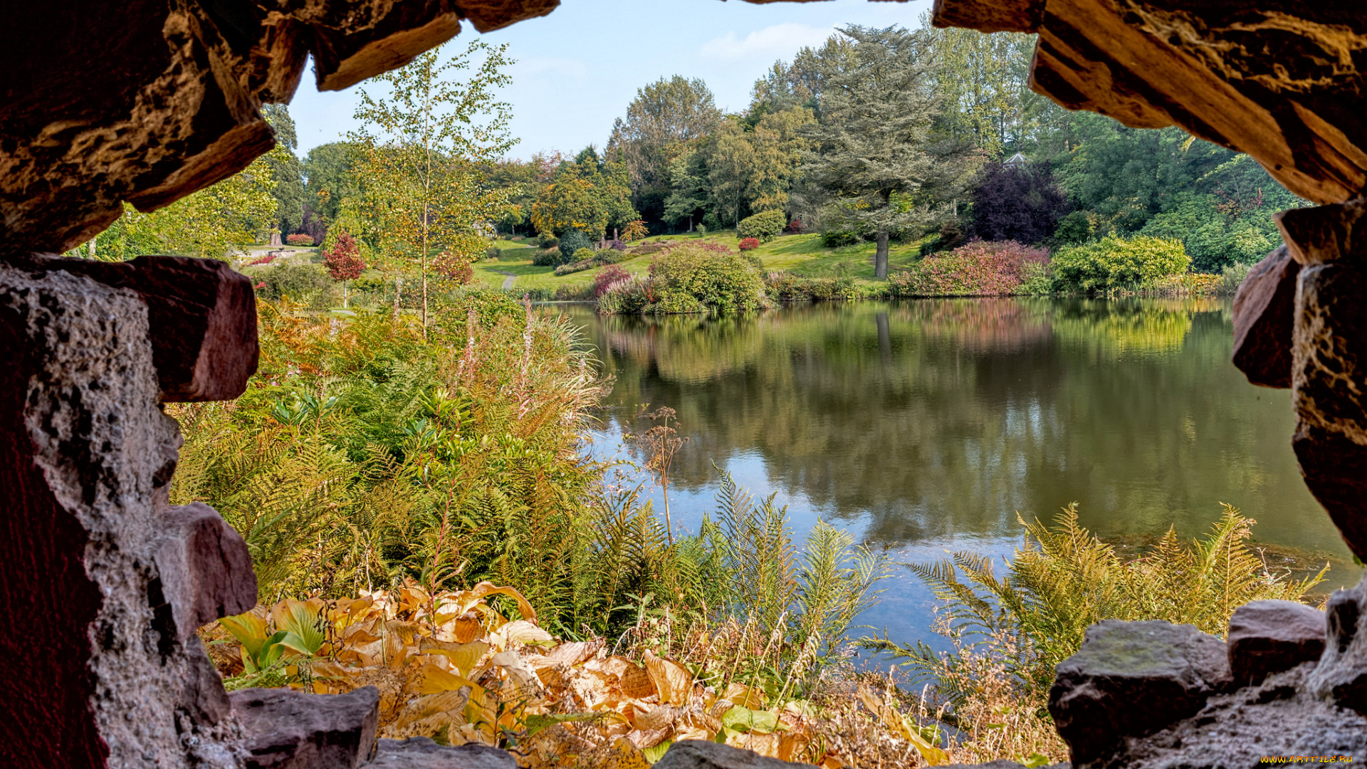 природа, реки, озера, река, лес