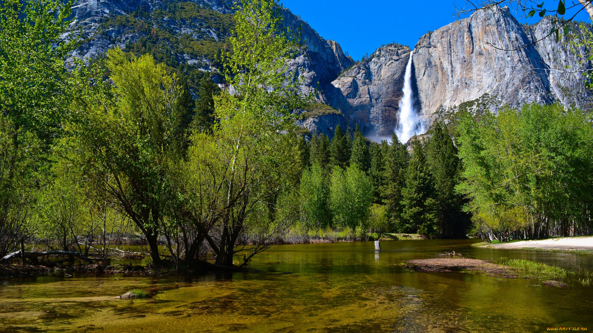 природа, реки, озера, река, лес