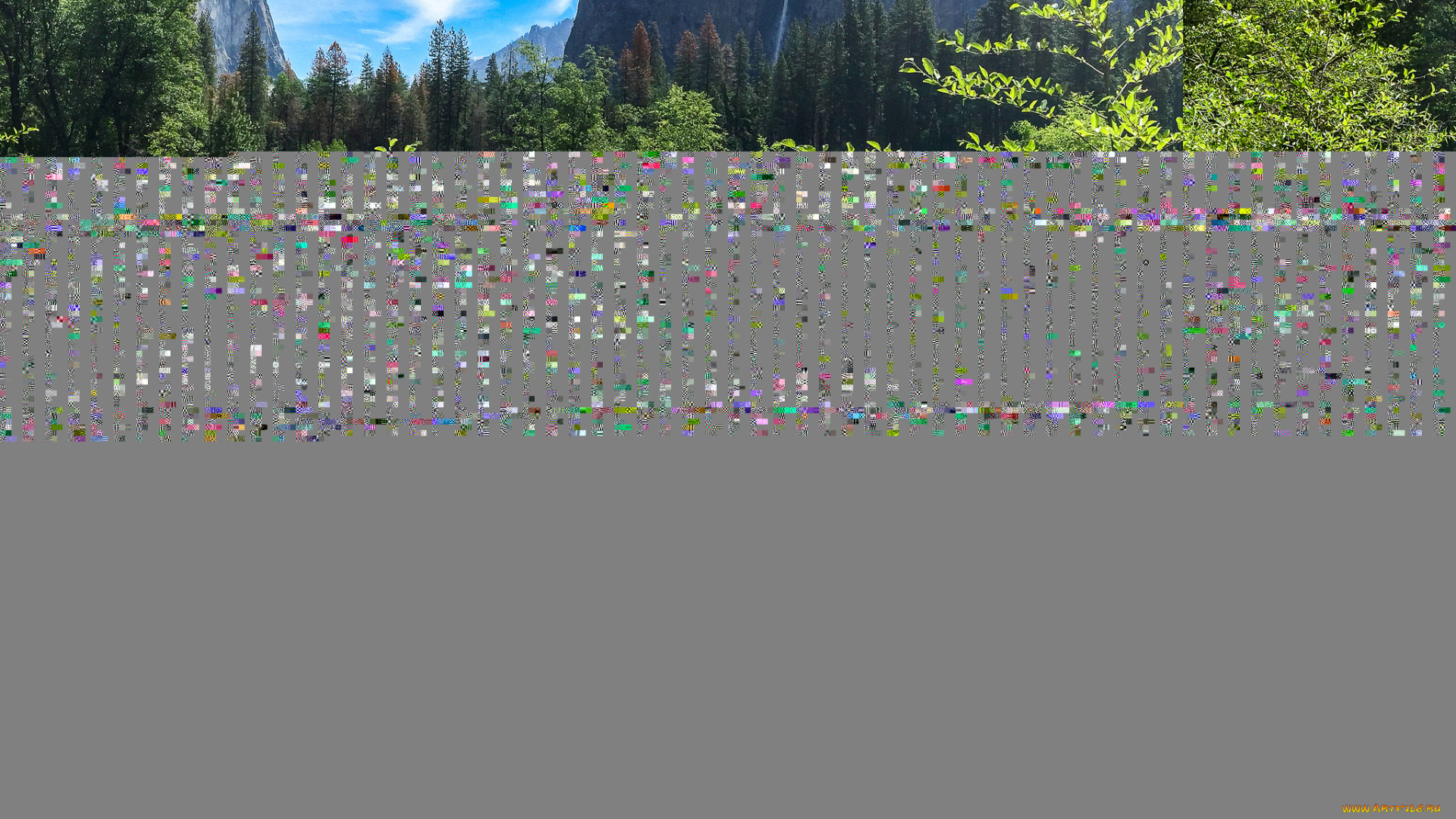 природа, реки, озера, река, лес