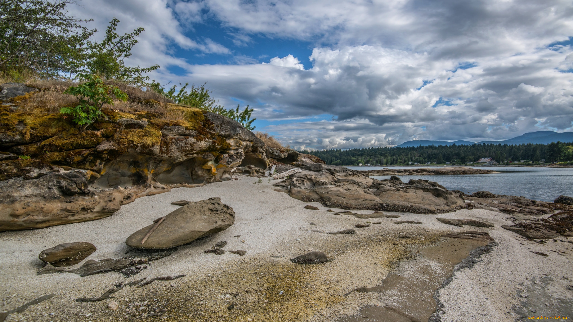 природа, реки, озера, река, лес