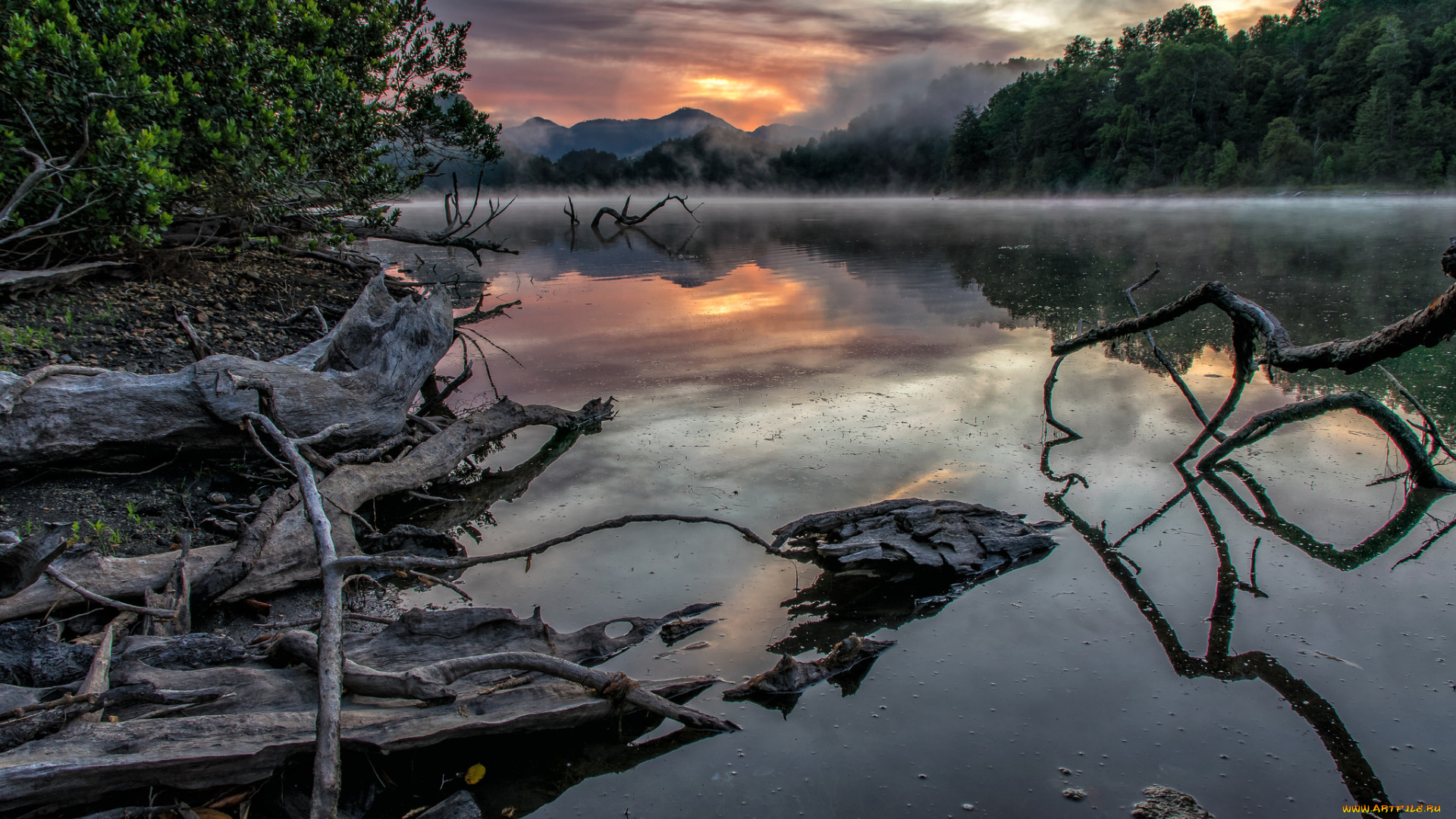 природа, реки, озера, река, лес