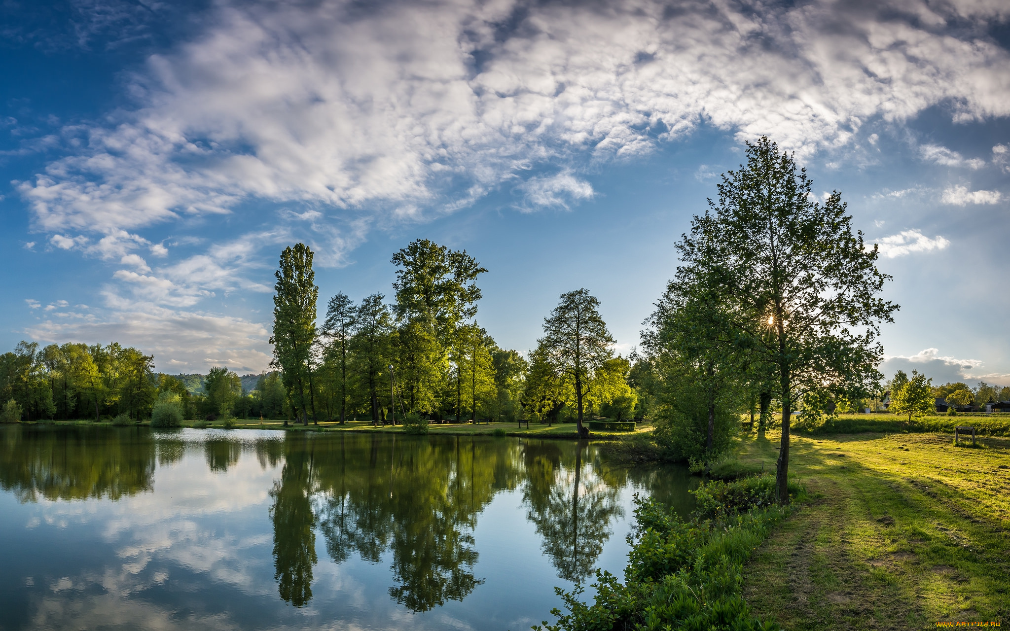 природа, реки, озера, лес, река