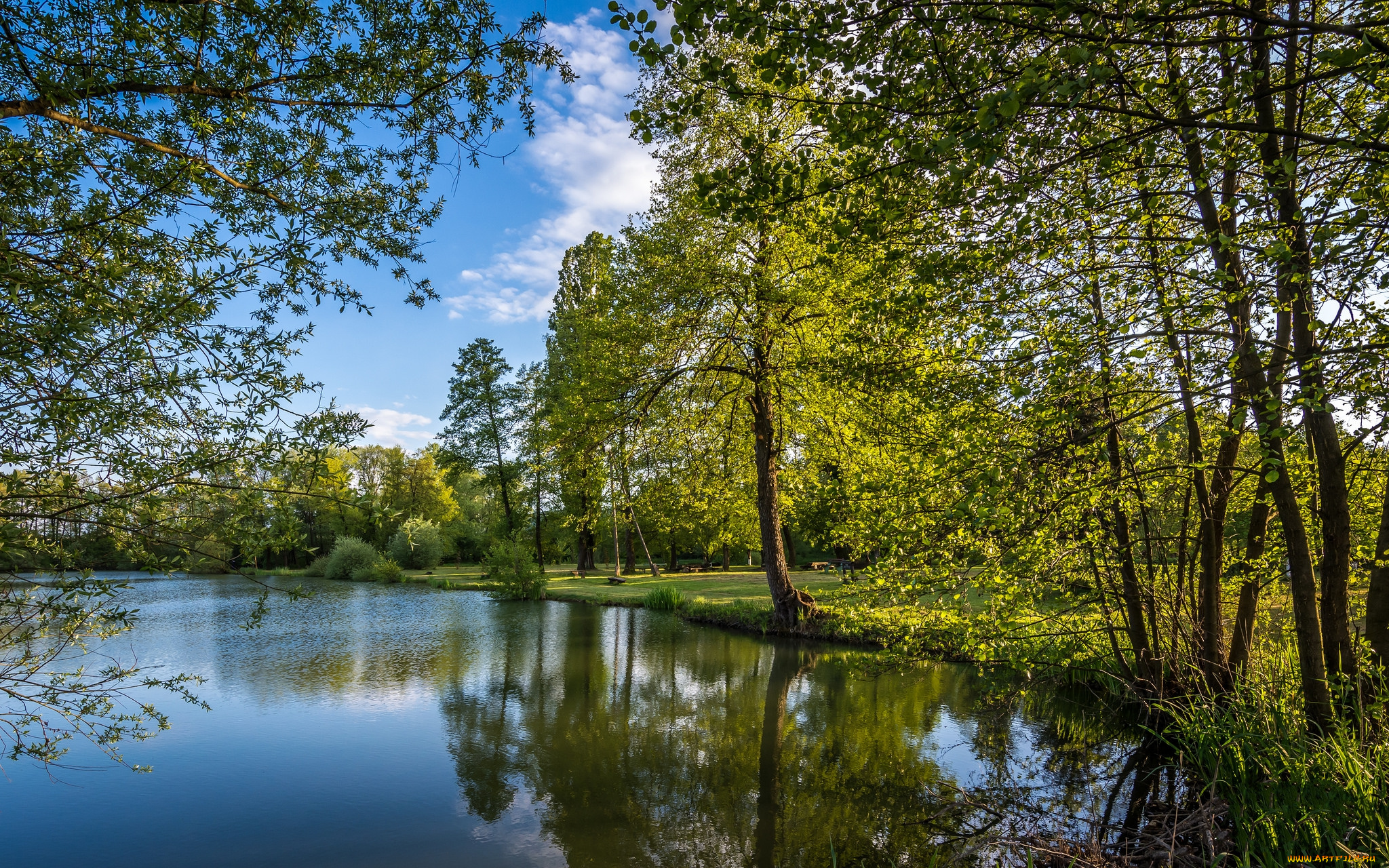 природа, реки, озера, река, лес