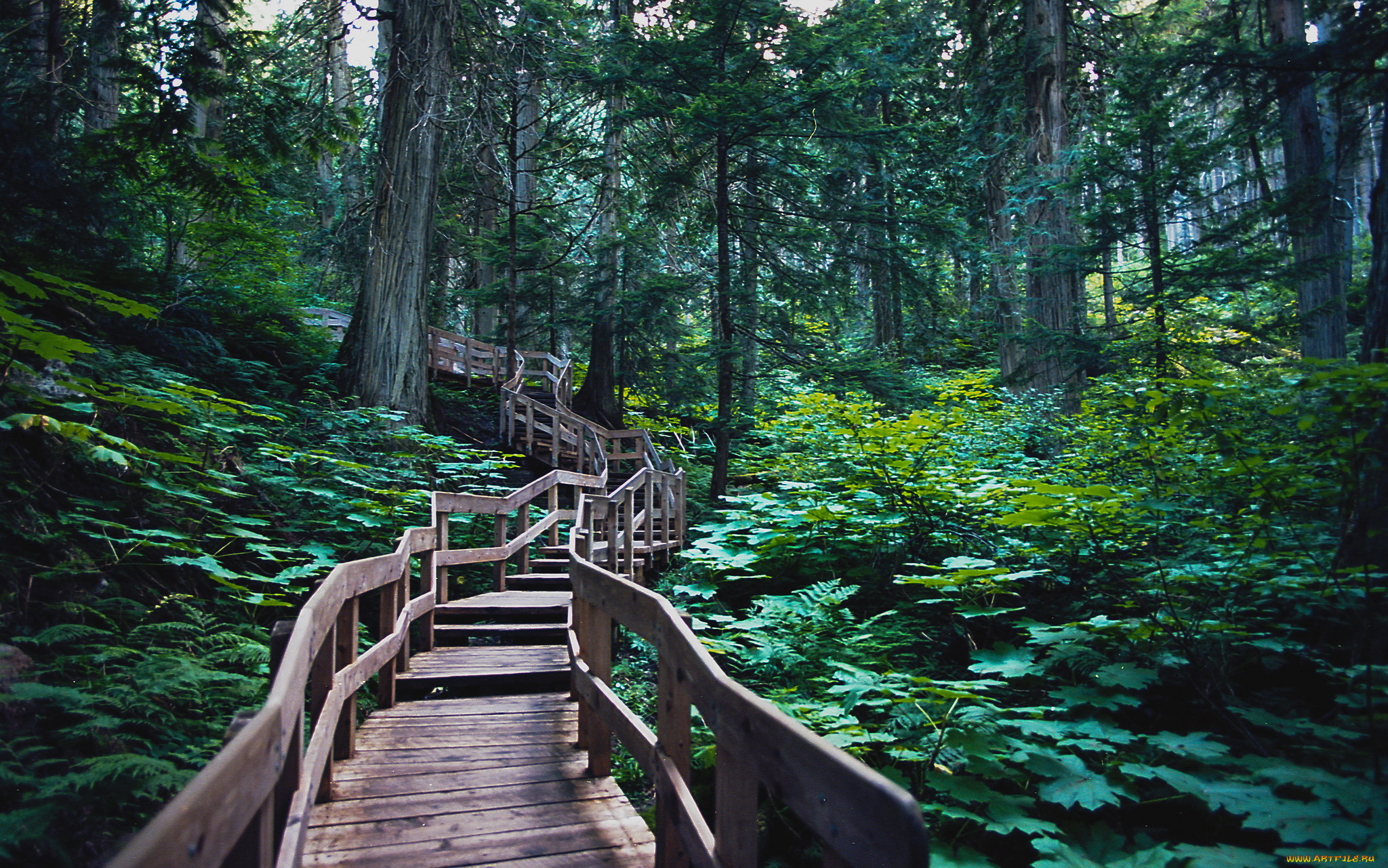 природа, дороги, тракт