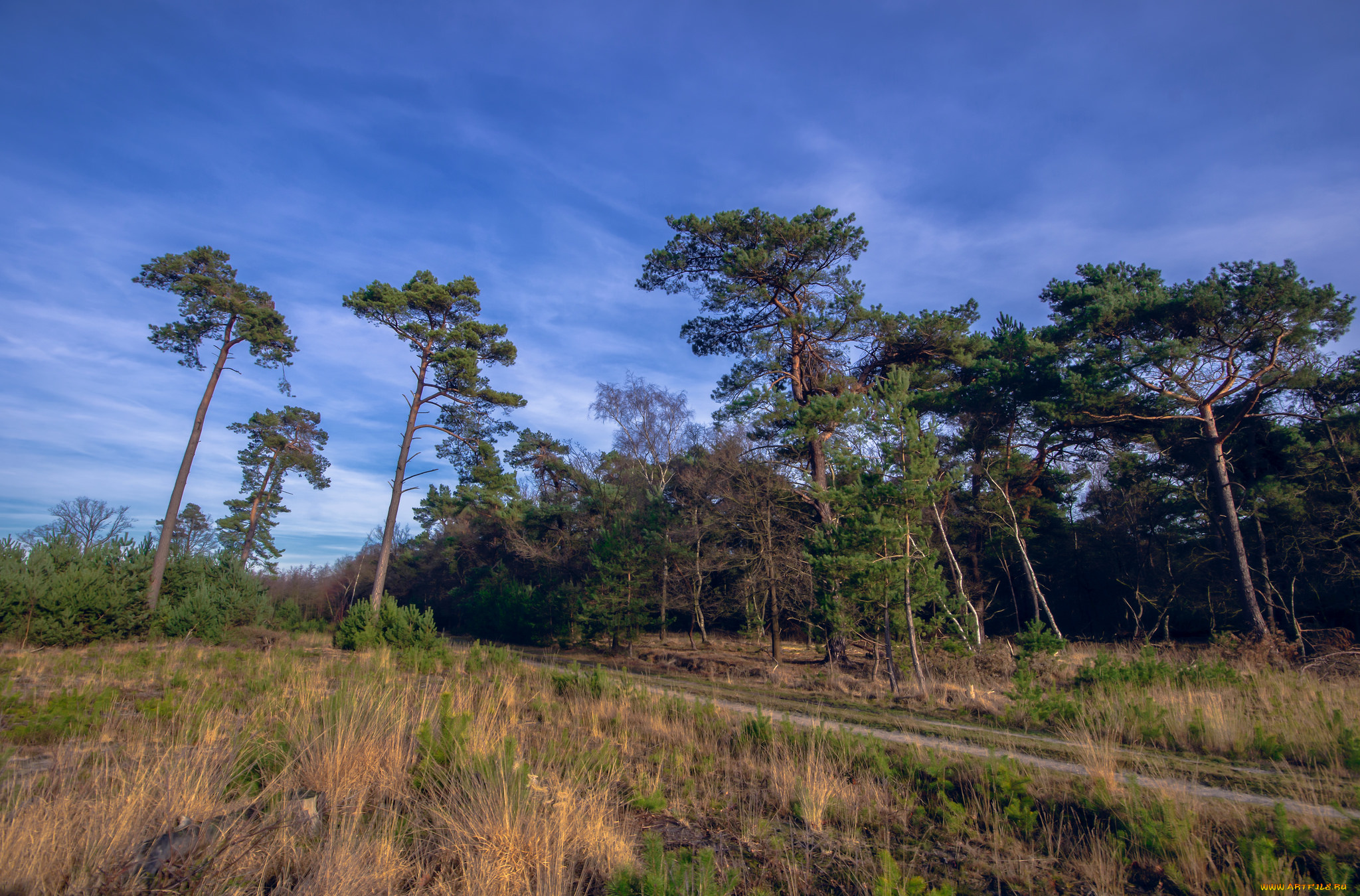 природа, дороги, тракт