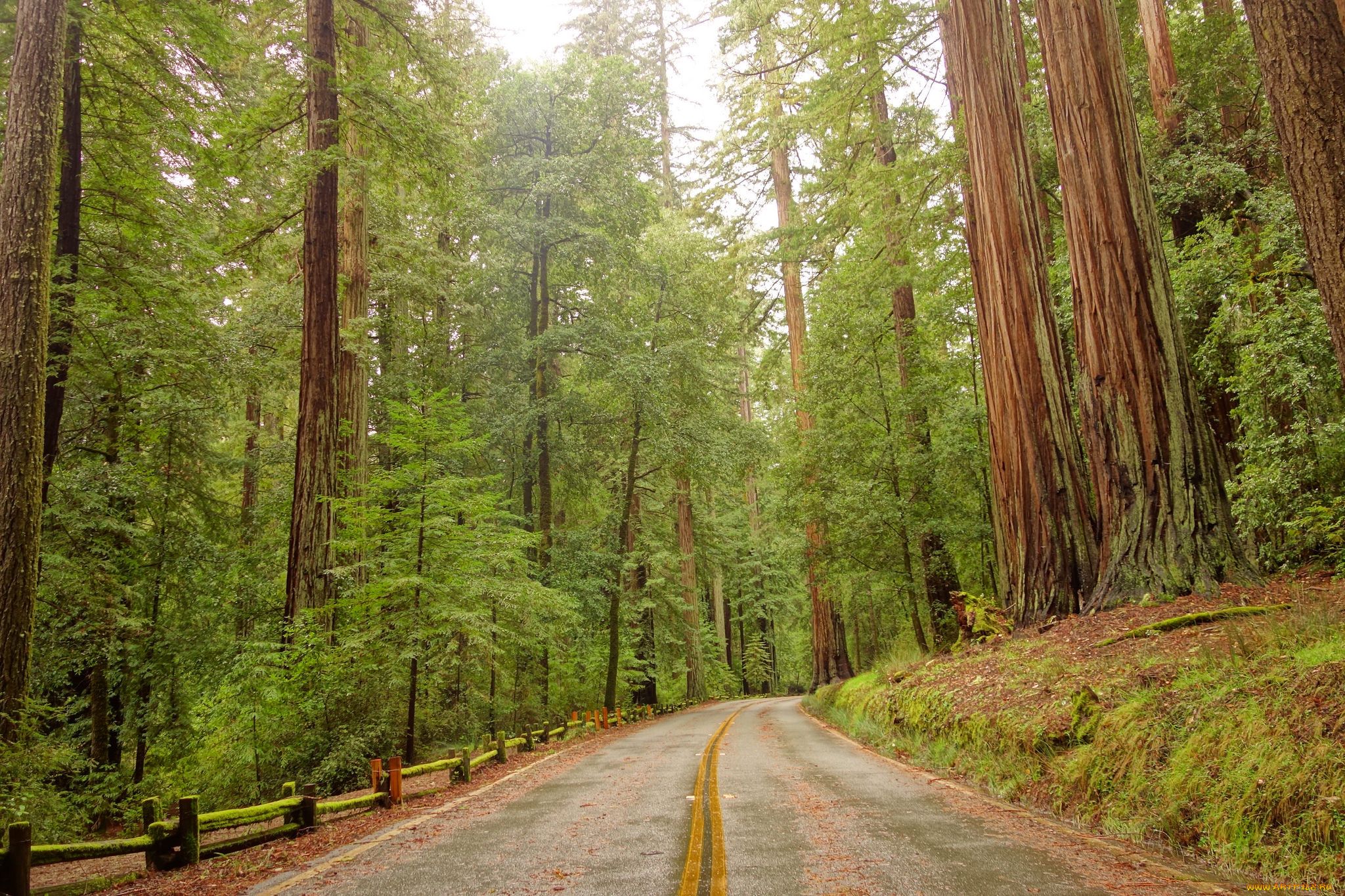 природа, дороги, тракт