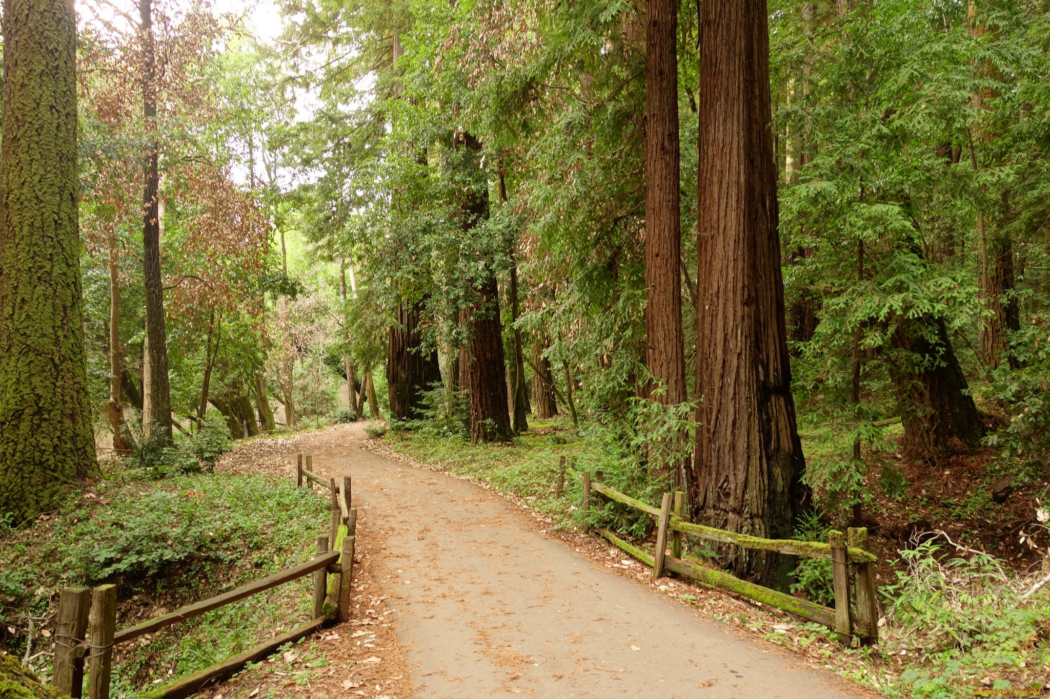 природа, дороги, тракт