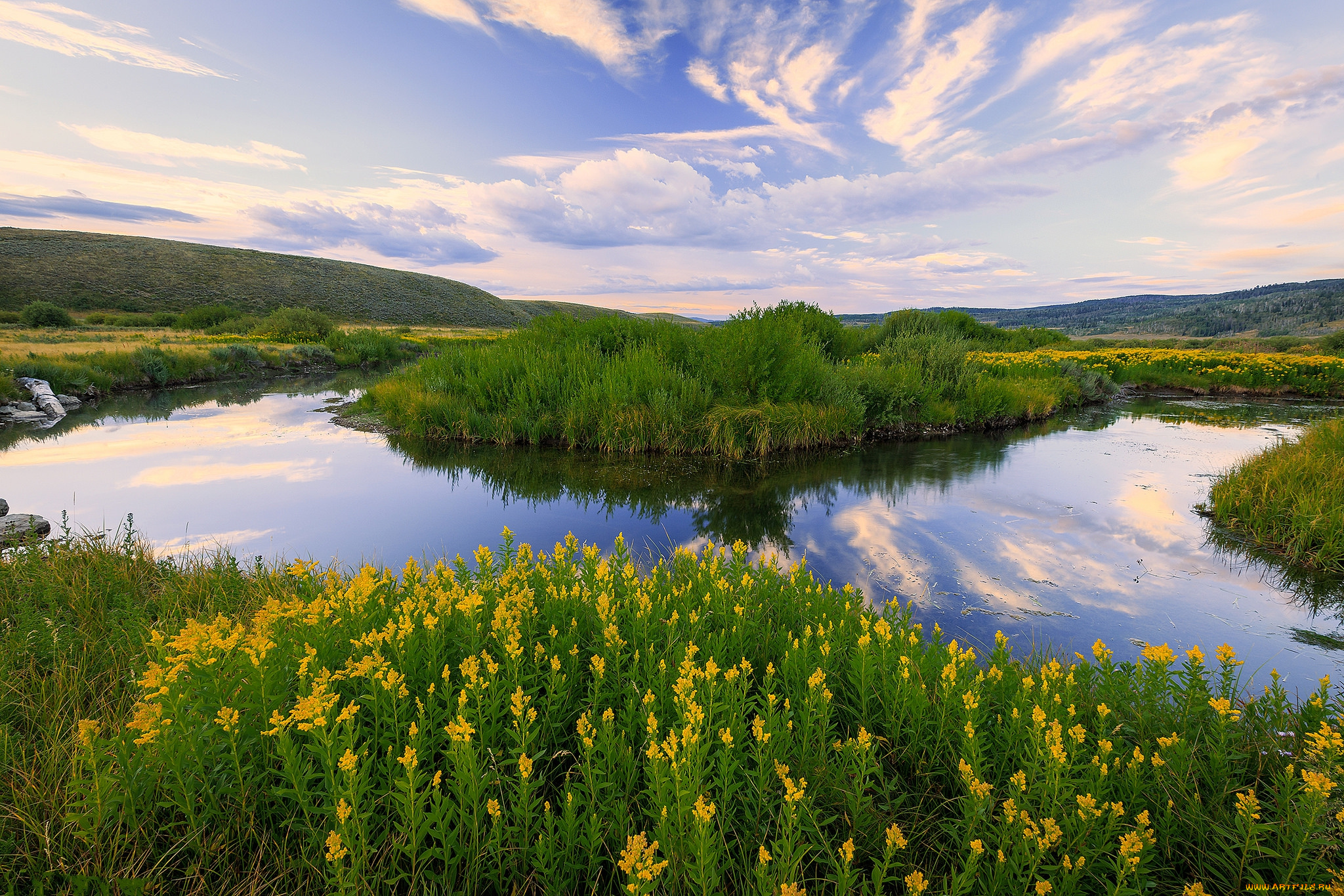 природа, реки, озера, лес, река