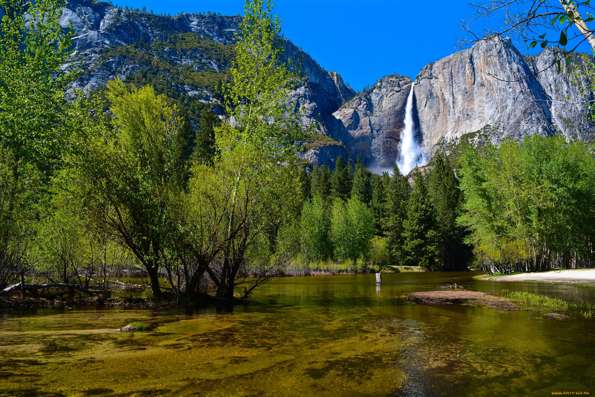 природа, реки, озера, река, лес