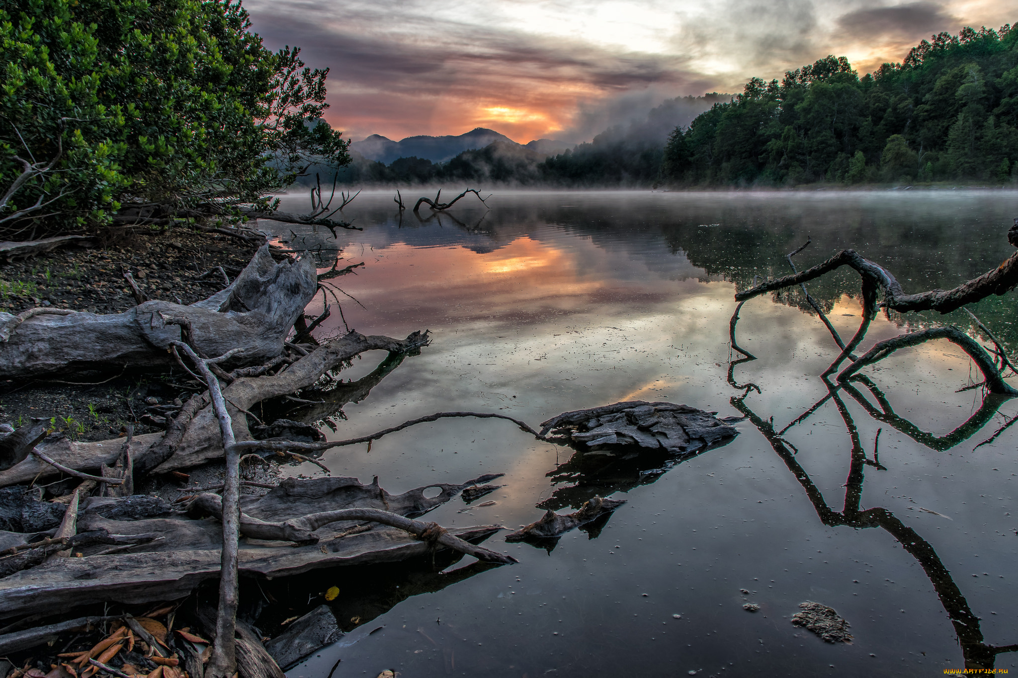 природа, реки, озера, река, лес