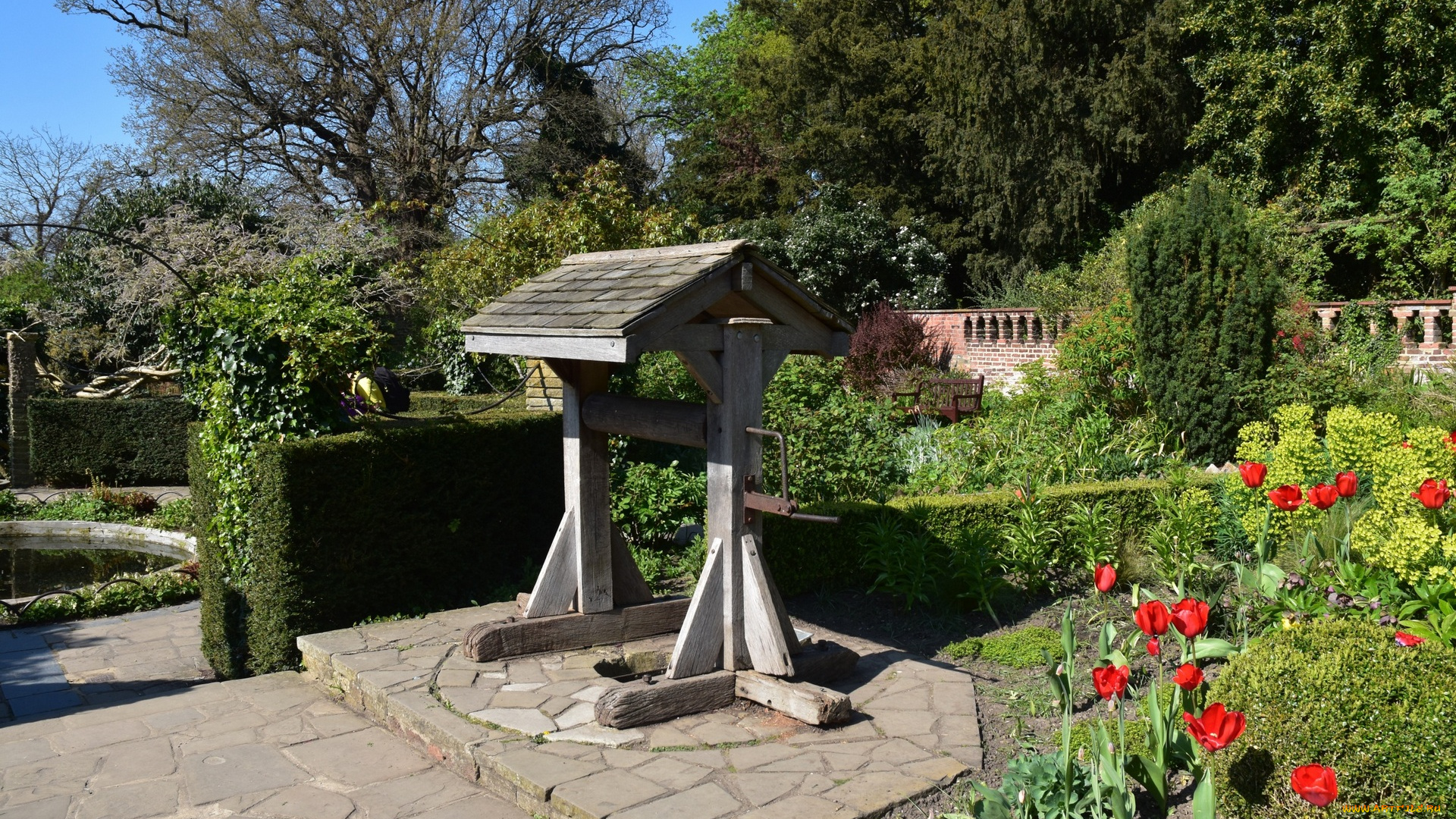 англия, разное, садовые, и, парковые, скульптуры, тюльпаны, деревья