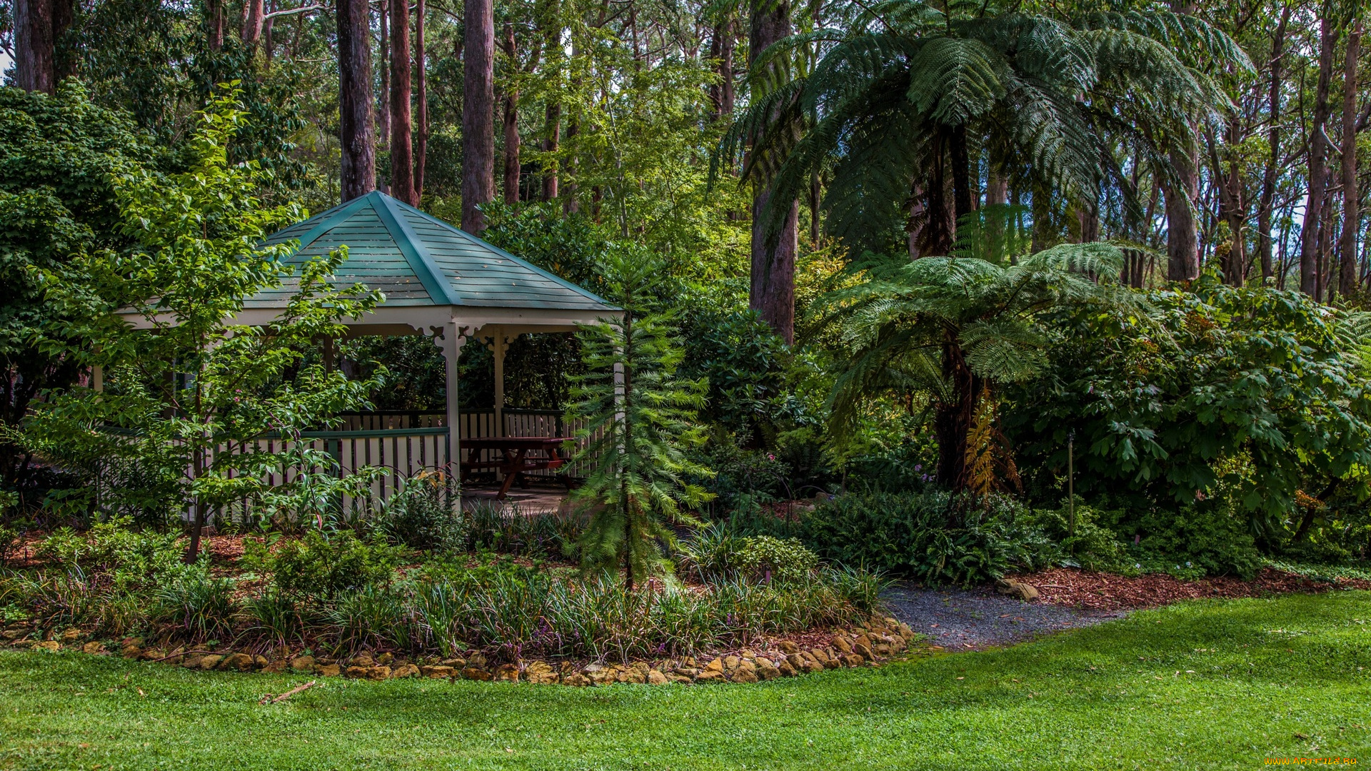 австралия, природа, парк, деревья, пальма, трава, беседка