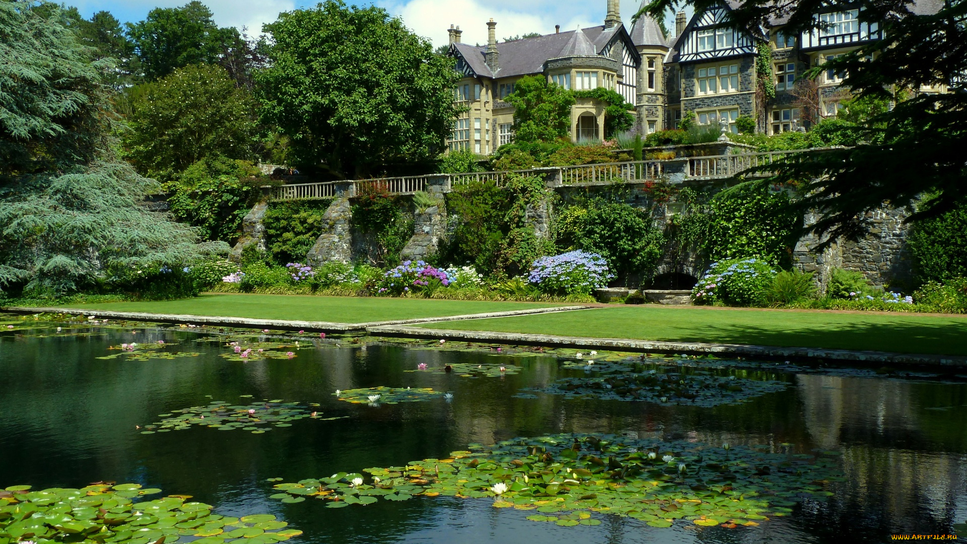города, -, пейзажи, водоем, кувшинки, трава, цветы, деревья, здания