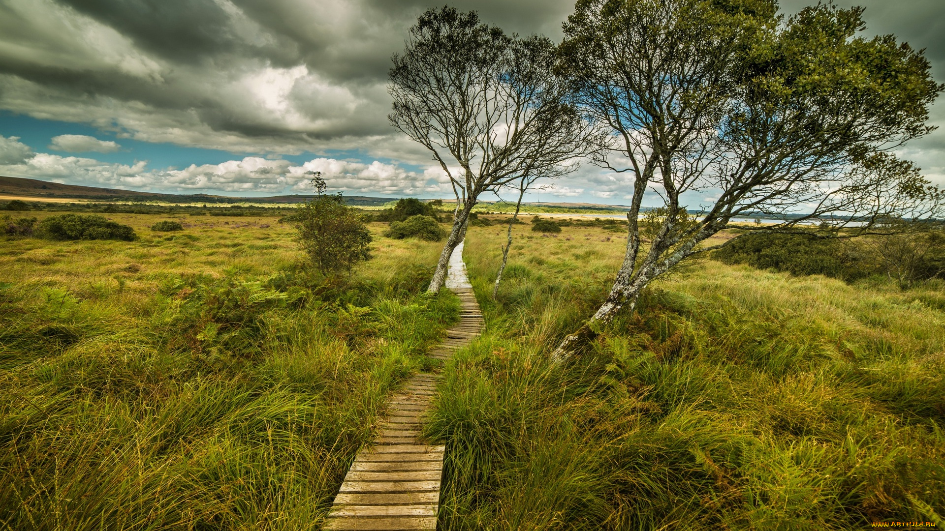 природа, дороги, трава, деревья, облака