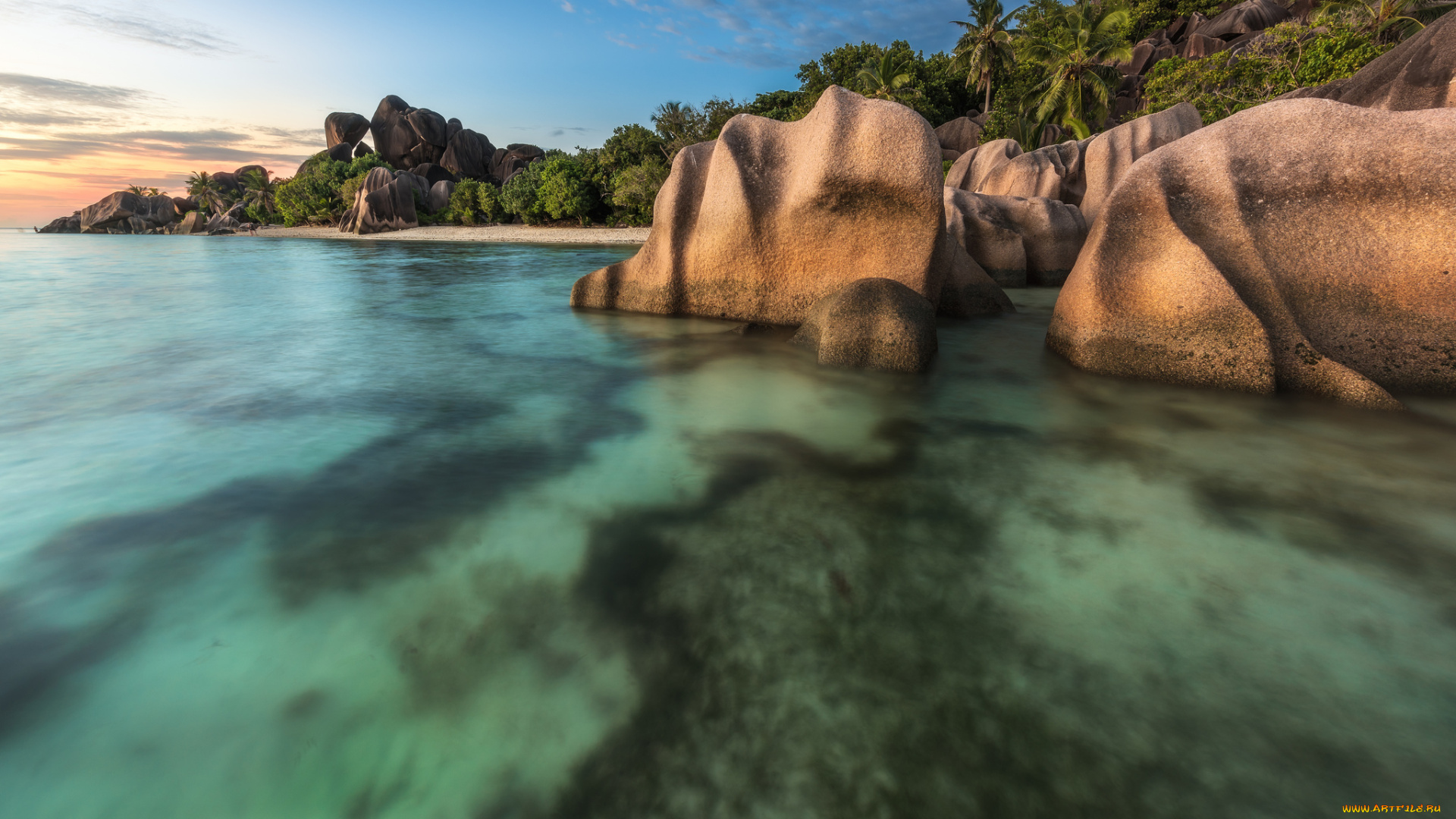 природа, тропики, побережье, пляж, море, камни, пальмы
