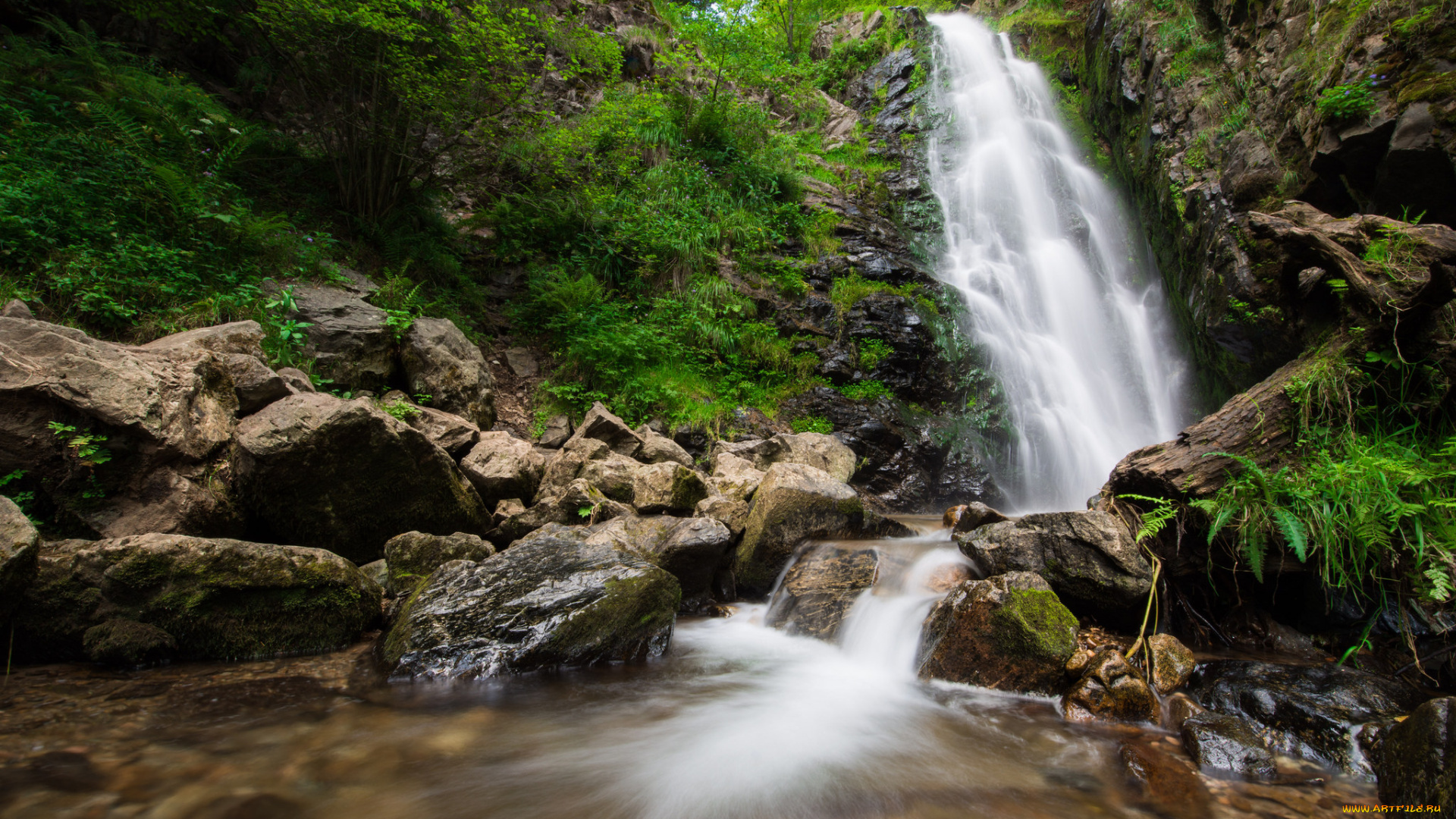 природа, водопады, водопад, лес, река