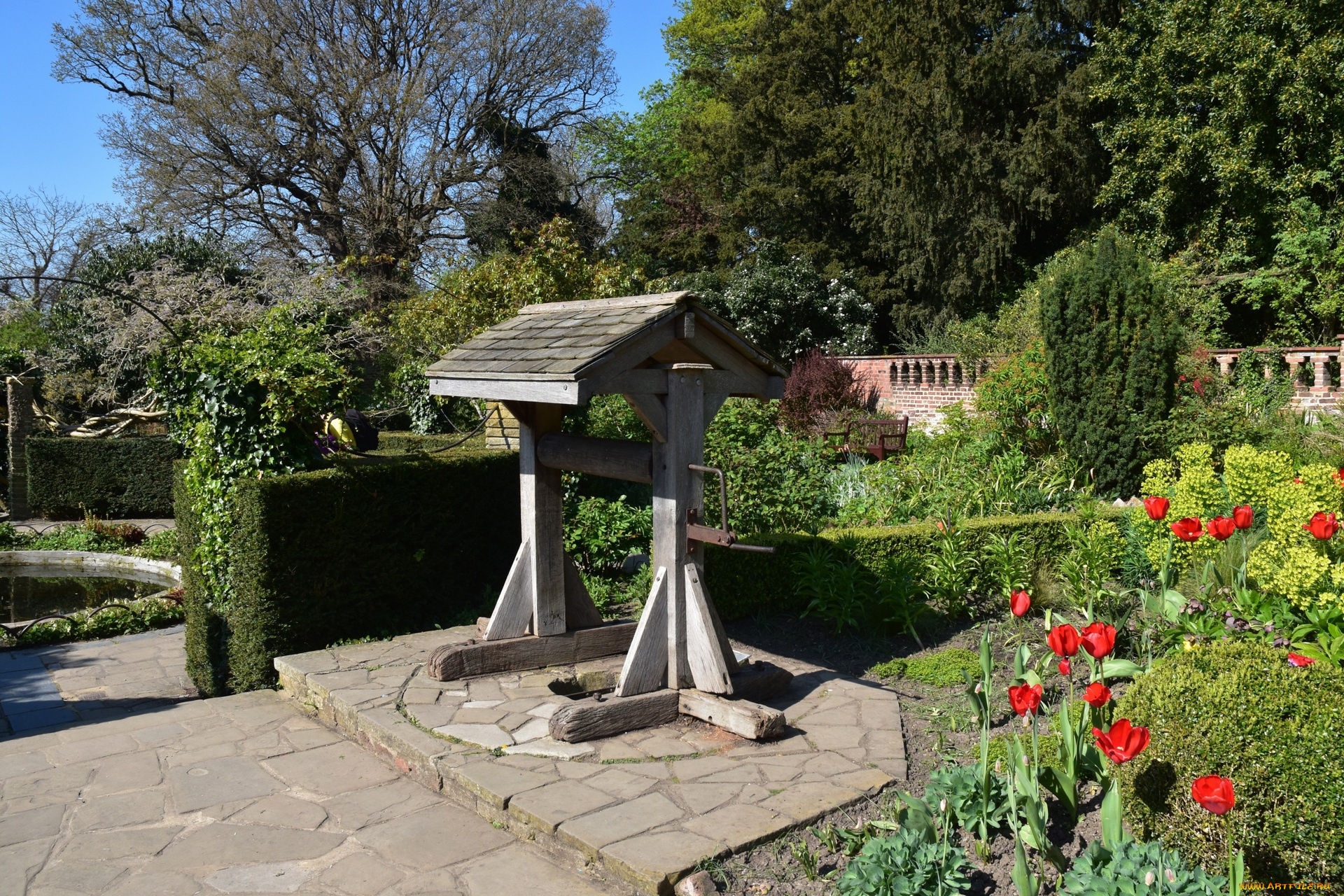 англия, разное, садовые, и, парковые, скульптуры, тюльпаны, деревья