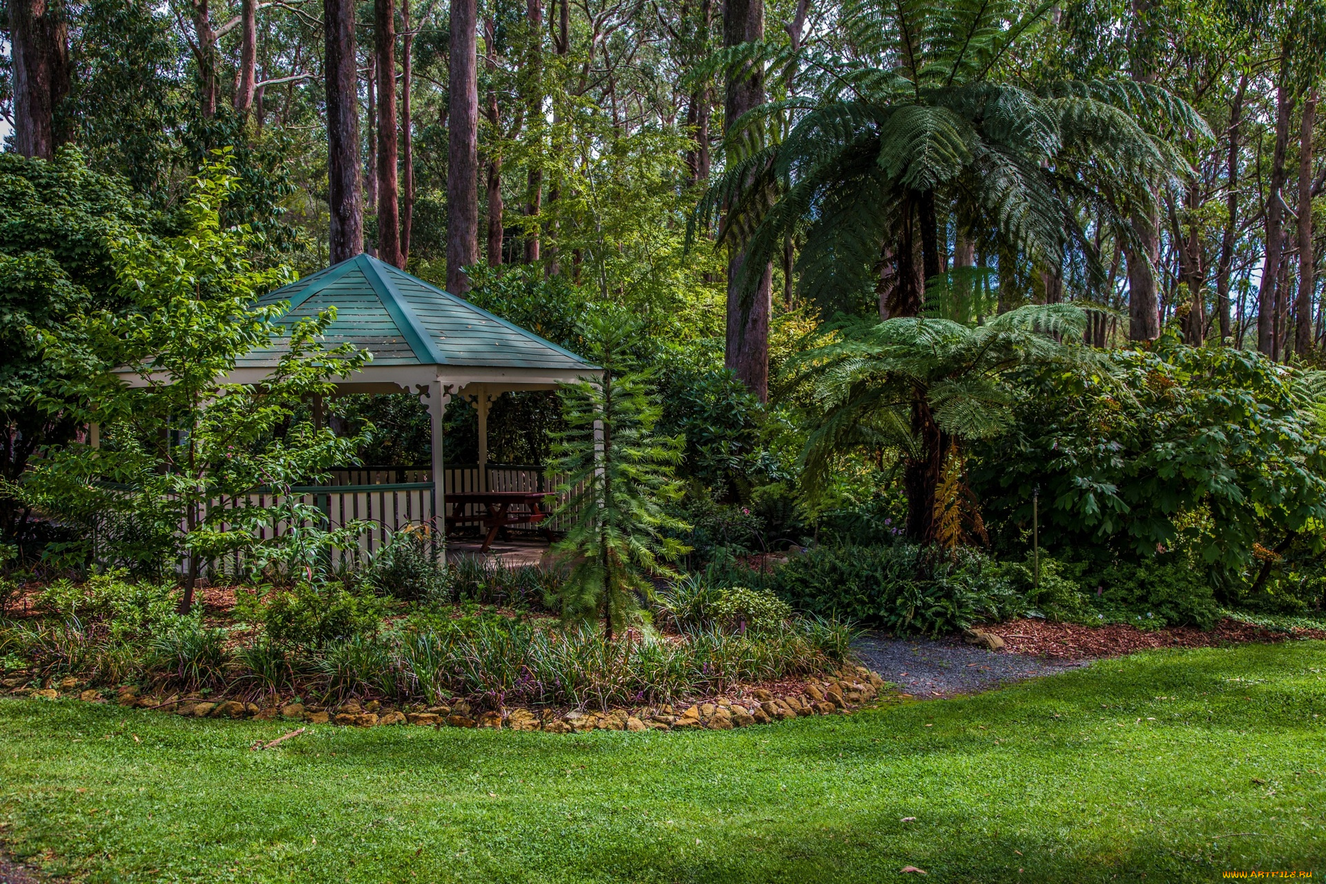 австралия, природа, парк, деревья, пальма, трава, беседка
