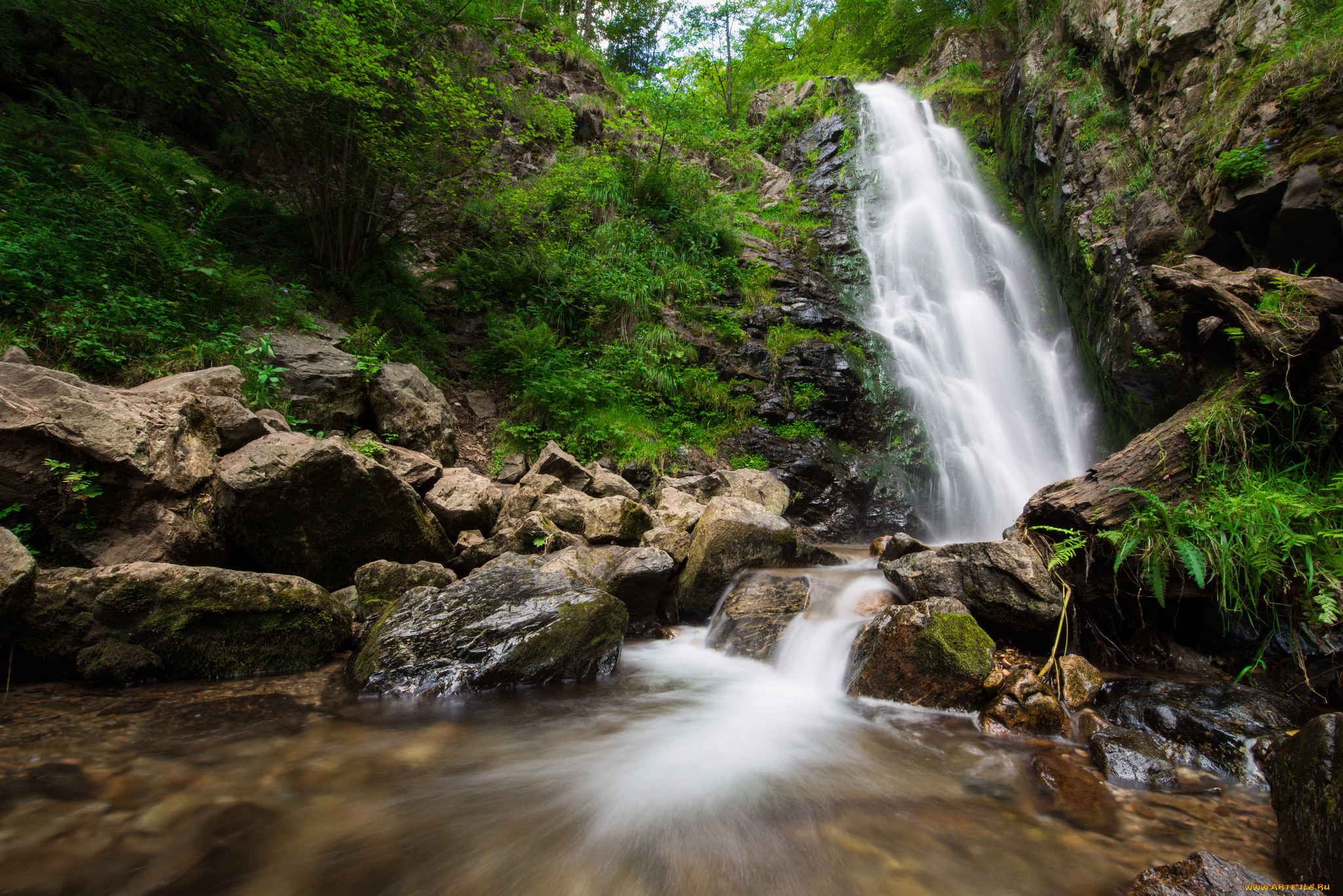 природа, водопады, водопад, лес, река