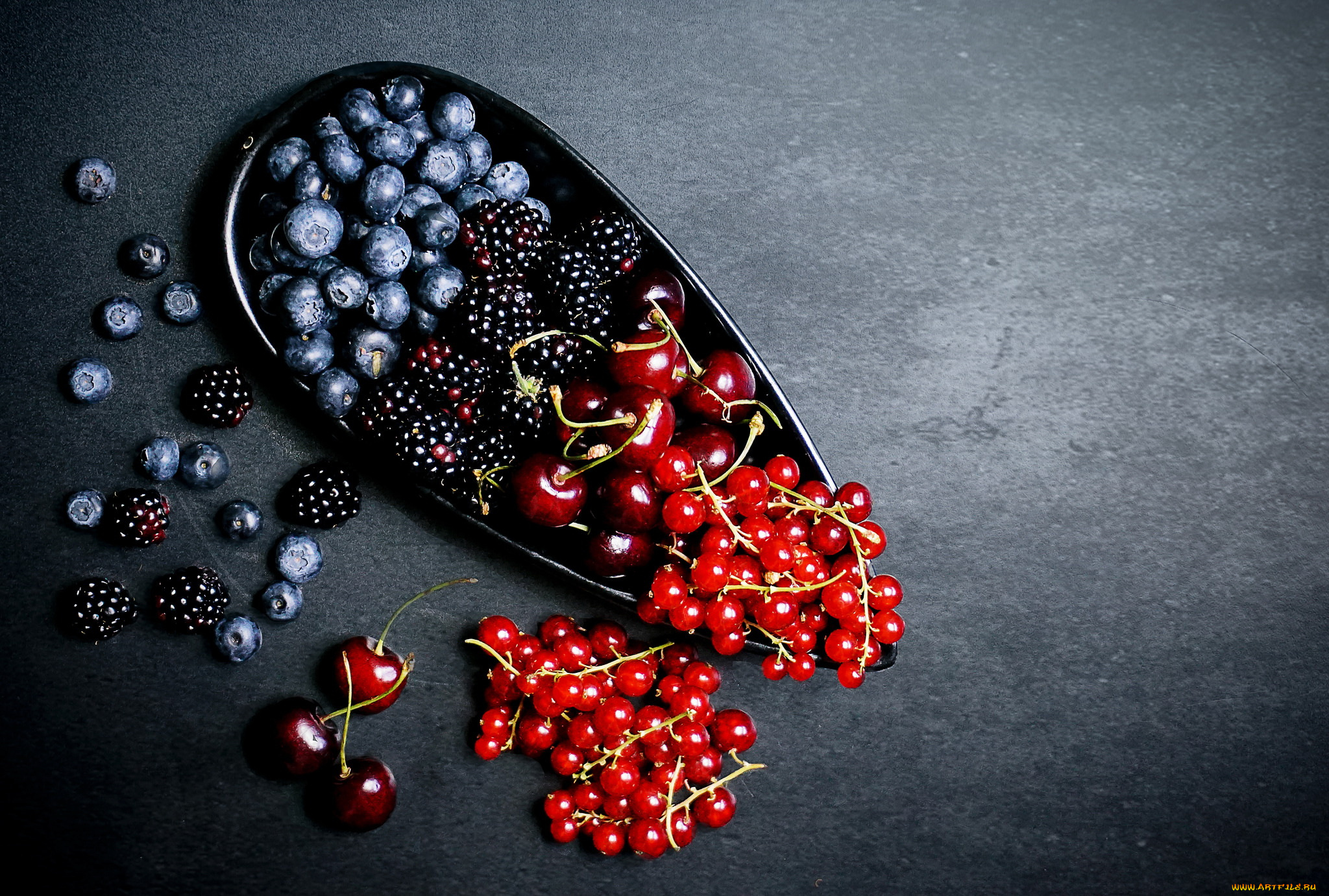 еда, фрукты, , ягоды, ягоды, черника, смородина, ежевика