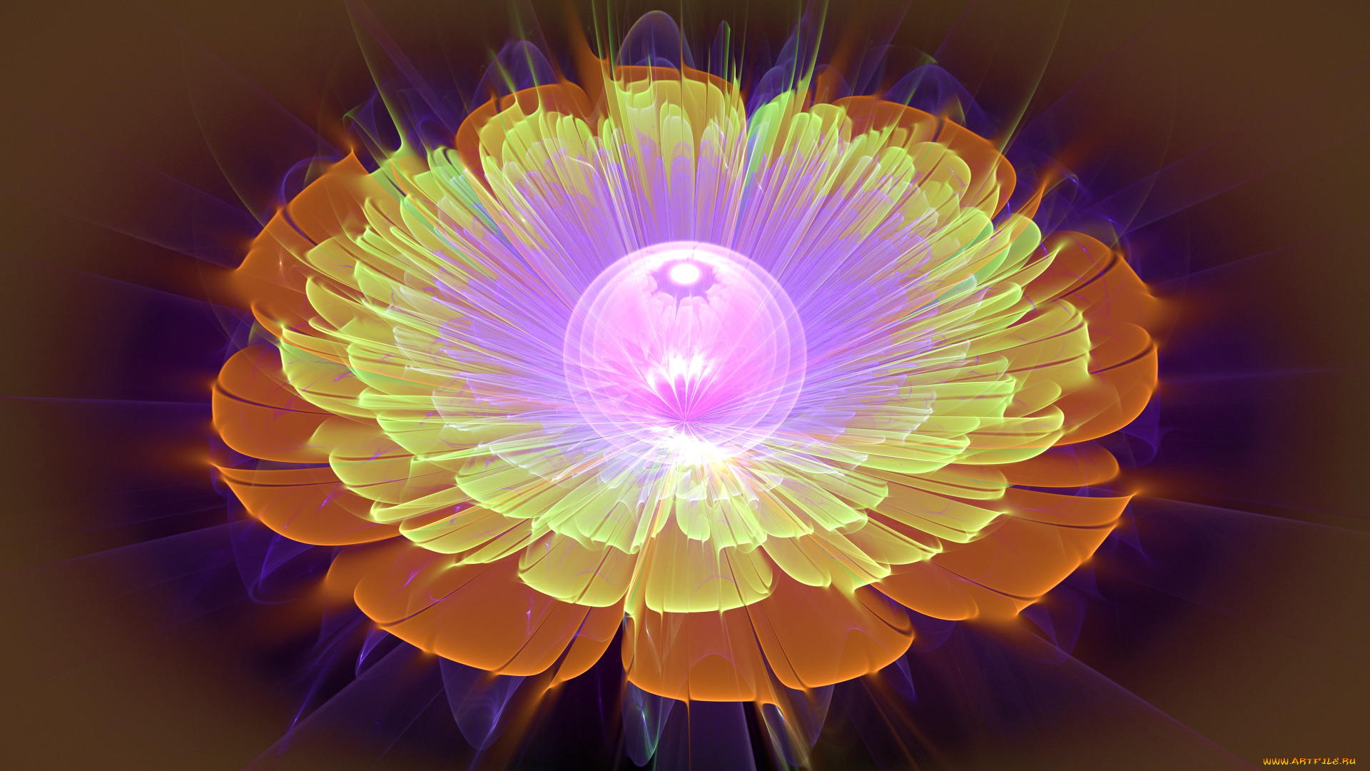 3д, графика, цветы, , flowers, узор, фон, цвет