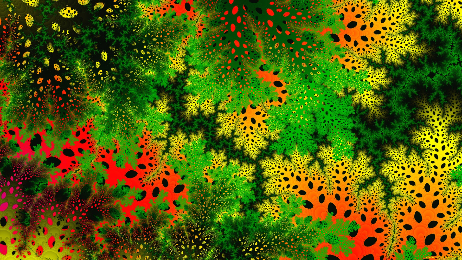 3д, графика, фракталы, , fractal, цвет, узор, фон