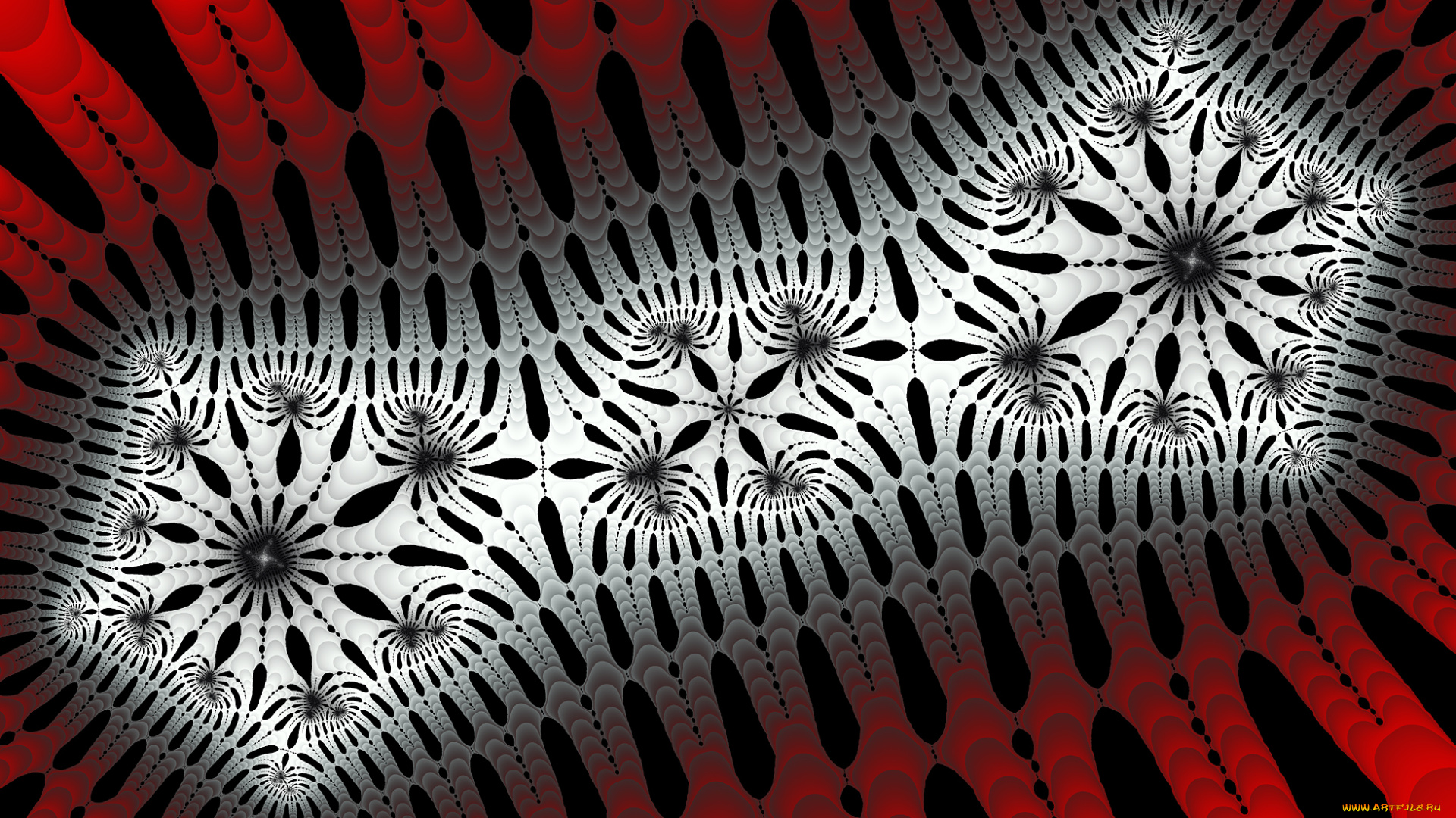 3д, графика, фракталы, , fractal, узор, фон, цвет