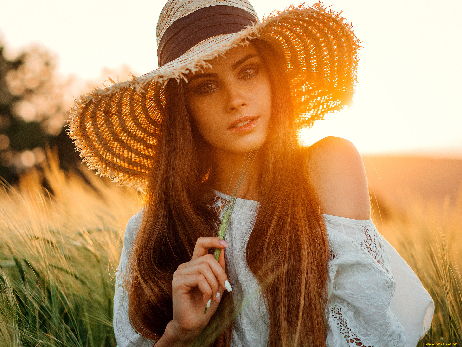 девушки, -, лица, , портреты, шатенка, шляпа, блузка, поле