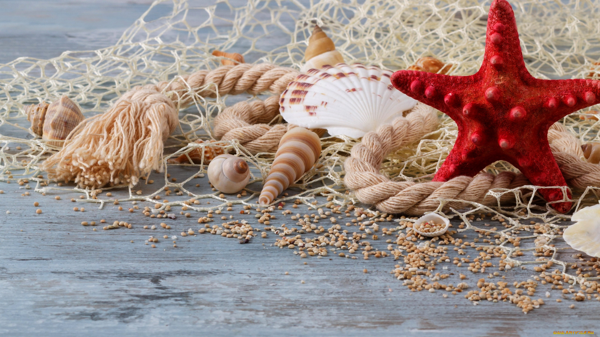 разное, ракушки, , кораллы, , декоративные, и, spa-камни, сеть, веревка, морская, звезда