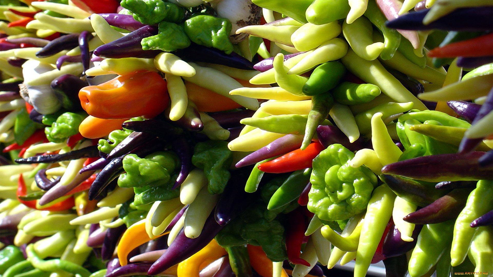 bright, peppers, еда, перец