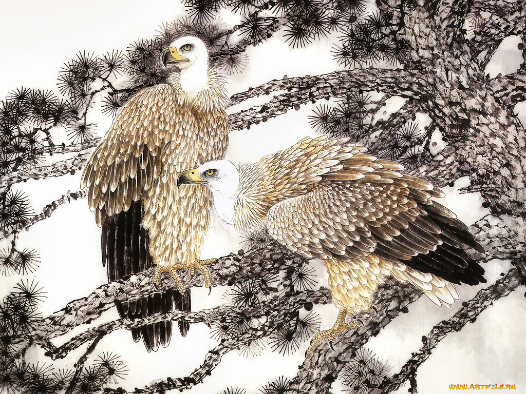 30, рисованные, животные, птицы, орлы